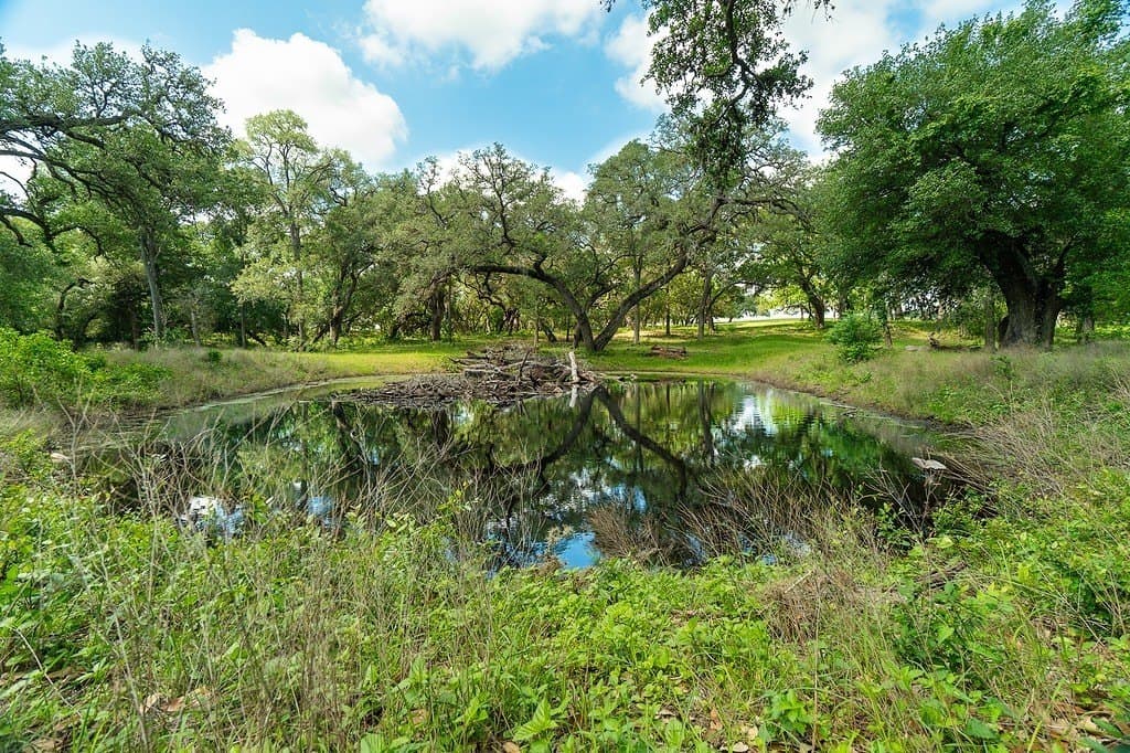 265.39 acres in Fayette County - photo 21