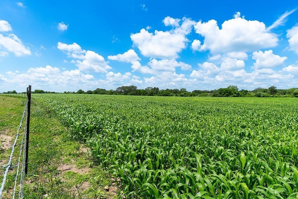265.39 acres in Fayette County - photo 18