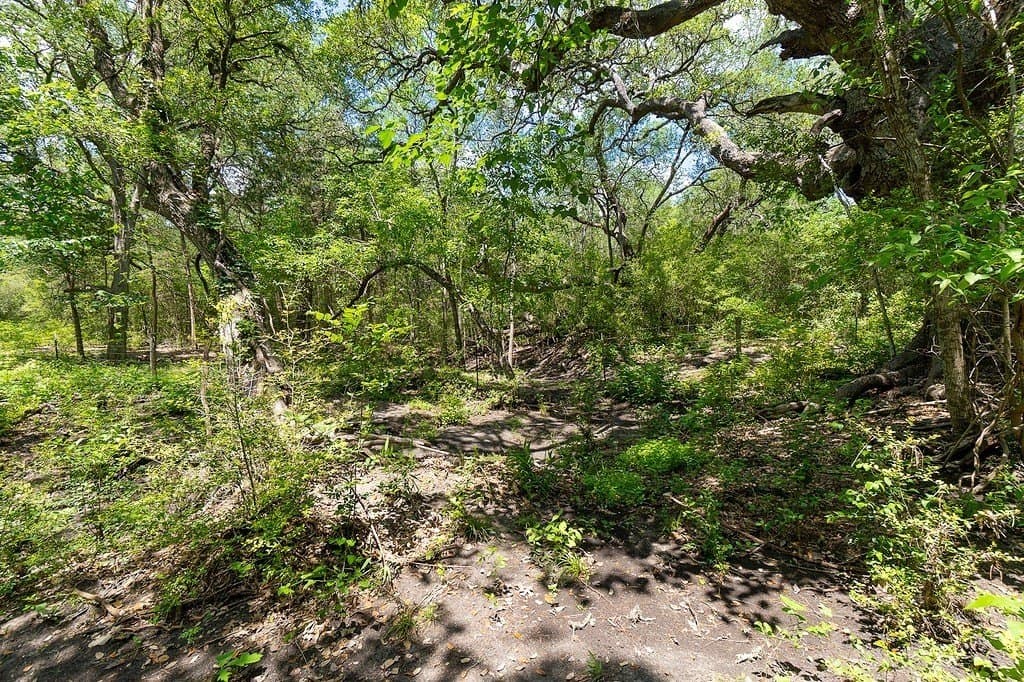 265.39 acres in Fayette County - photo 30