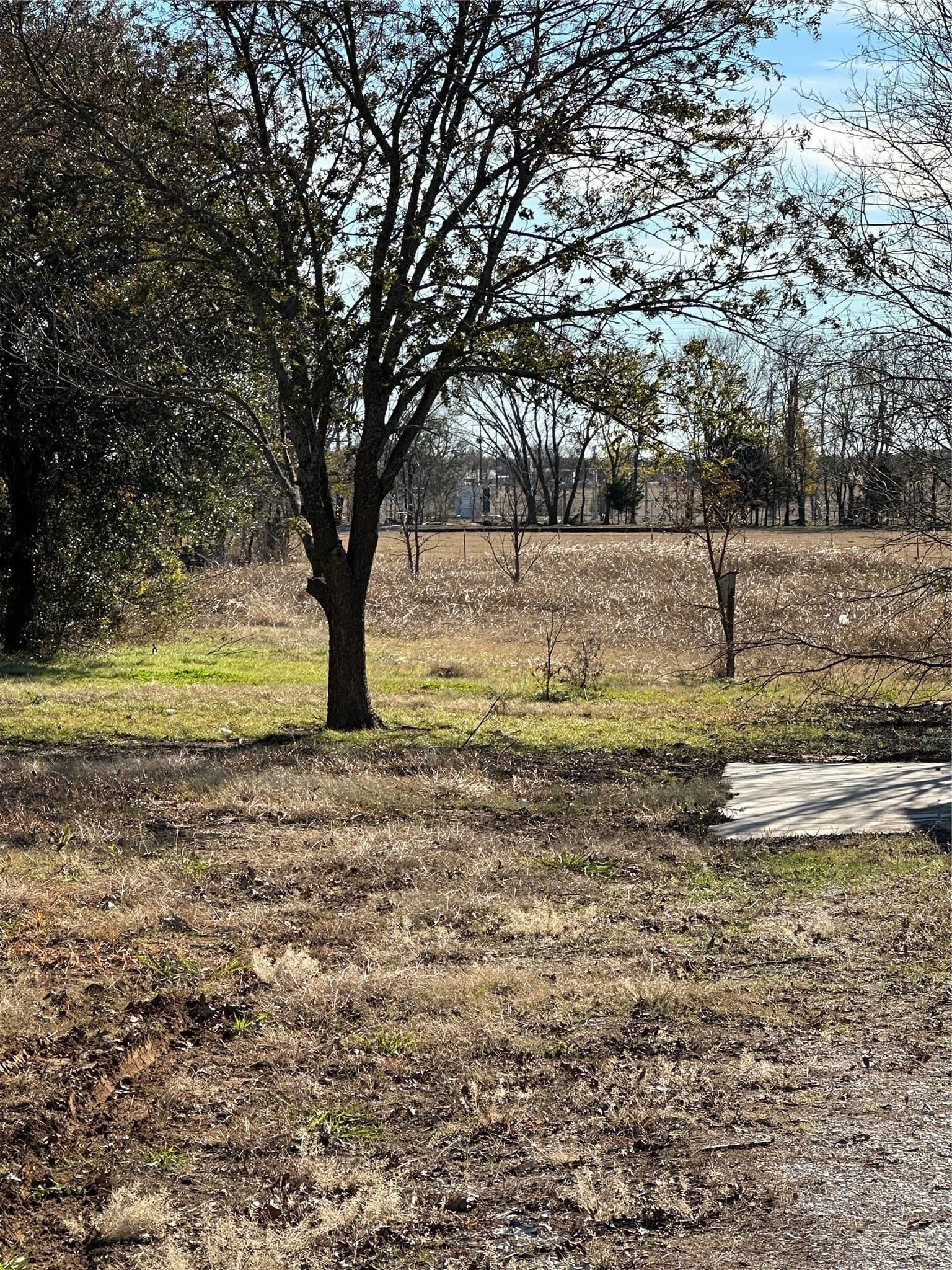 0.59 acres in Grayson County gallery image 2