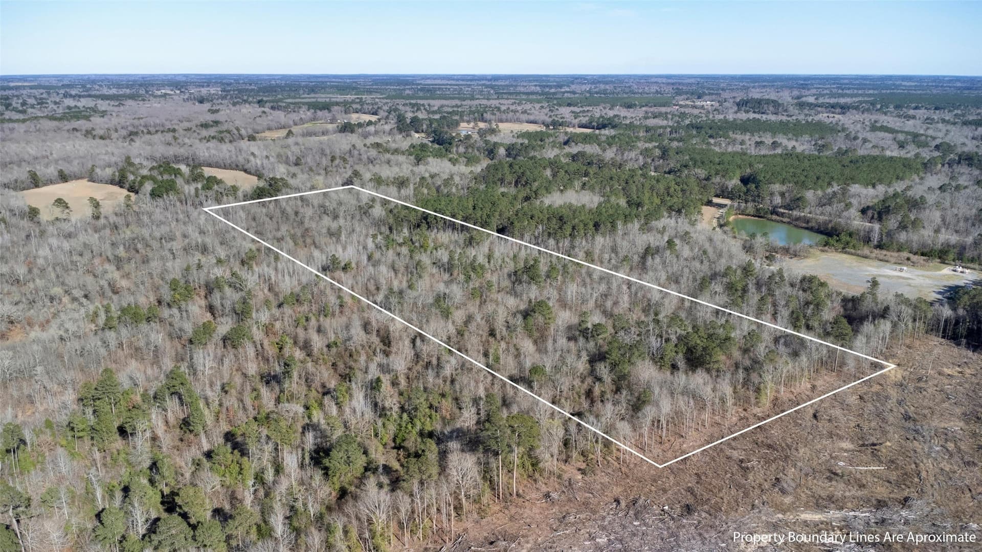 18.27 acres in Panola County - photo 5
