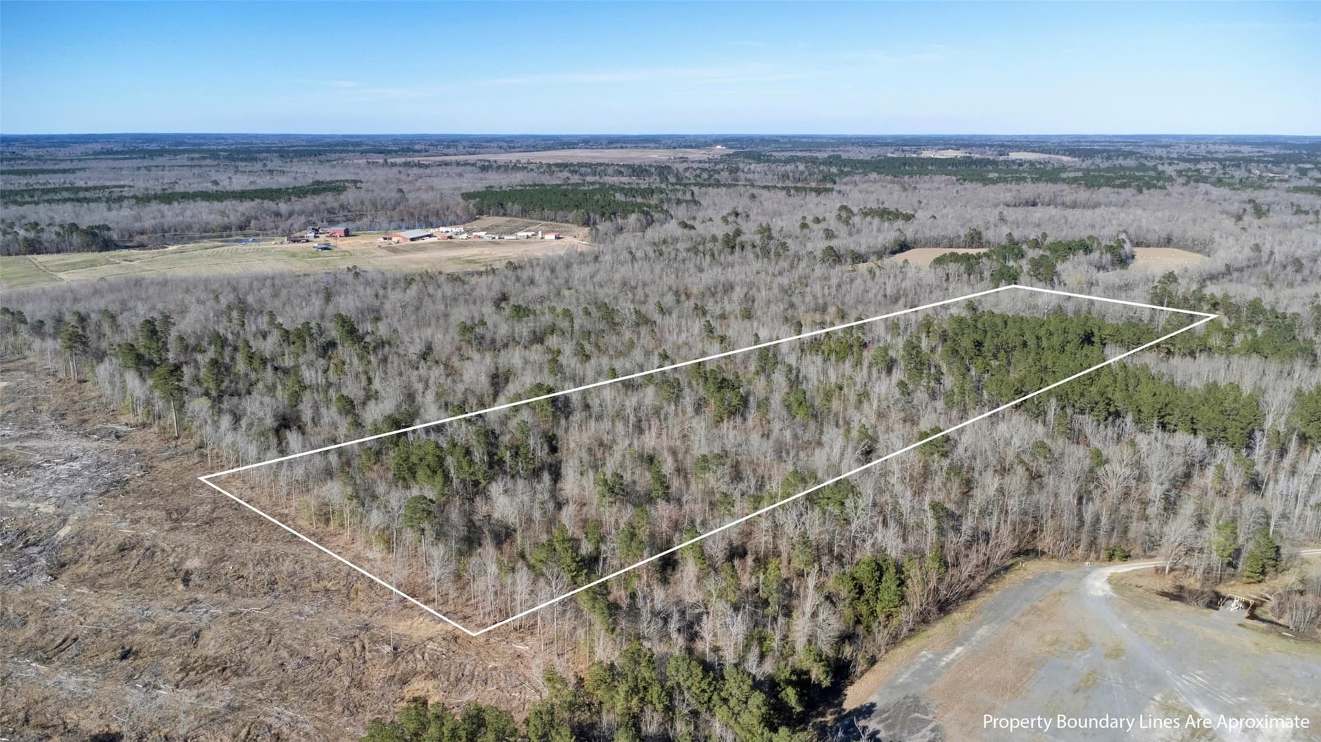 18.27 acres in Panola County - photo 4