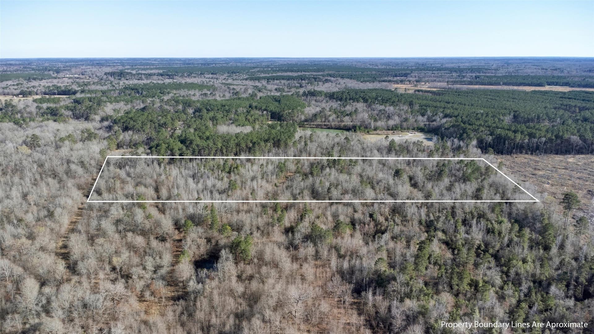 18.27 acres in Panola County - photo 6