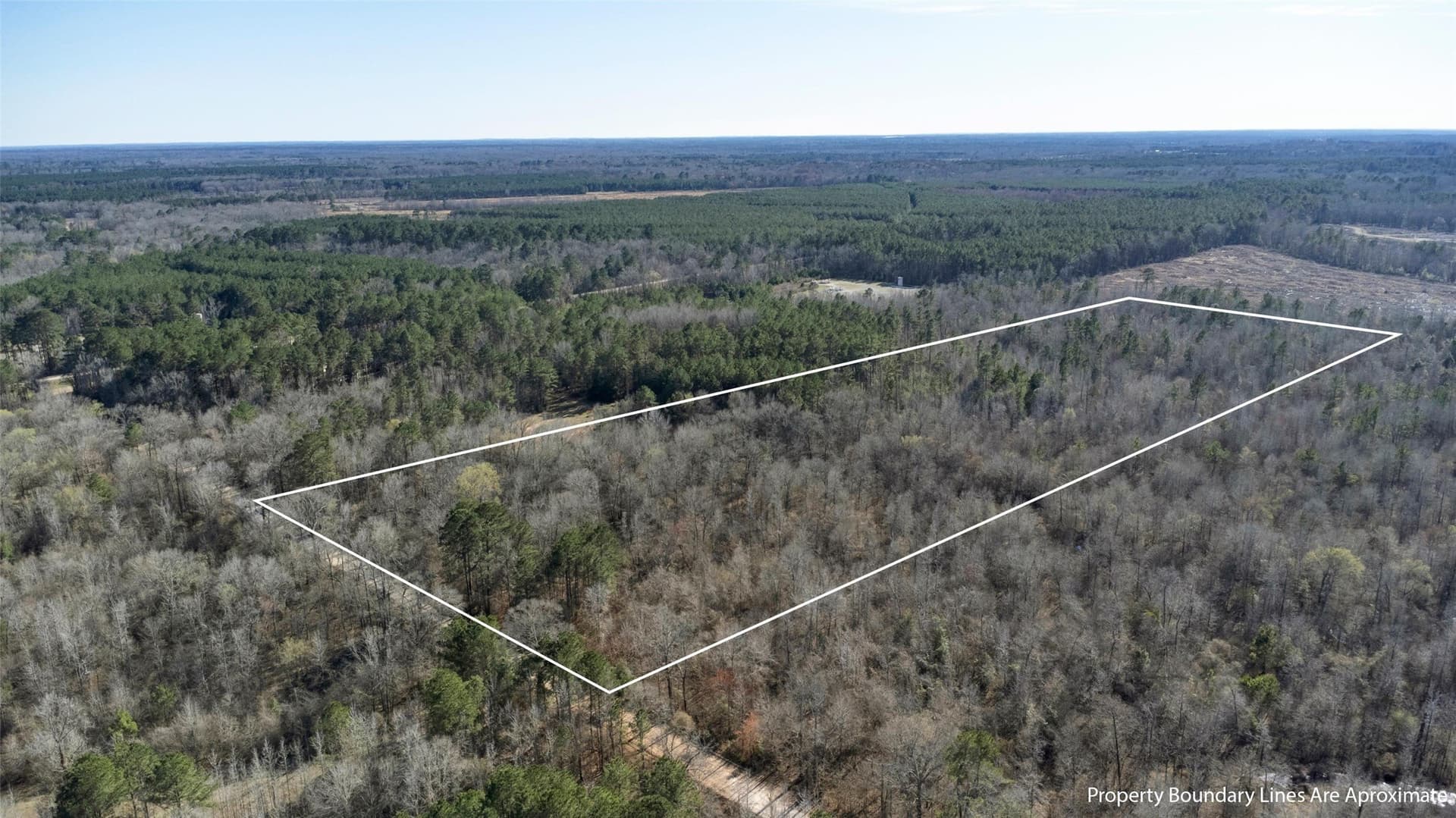 18.27 acres in Panola County - photo 2