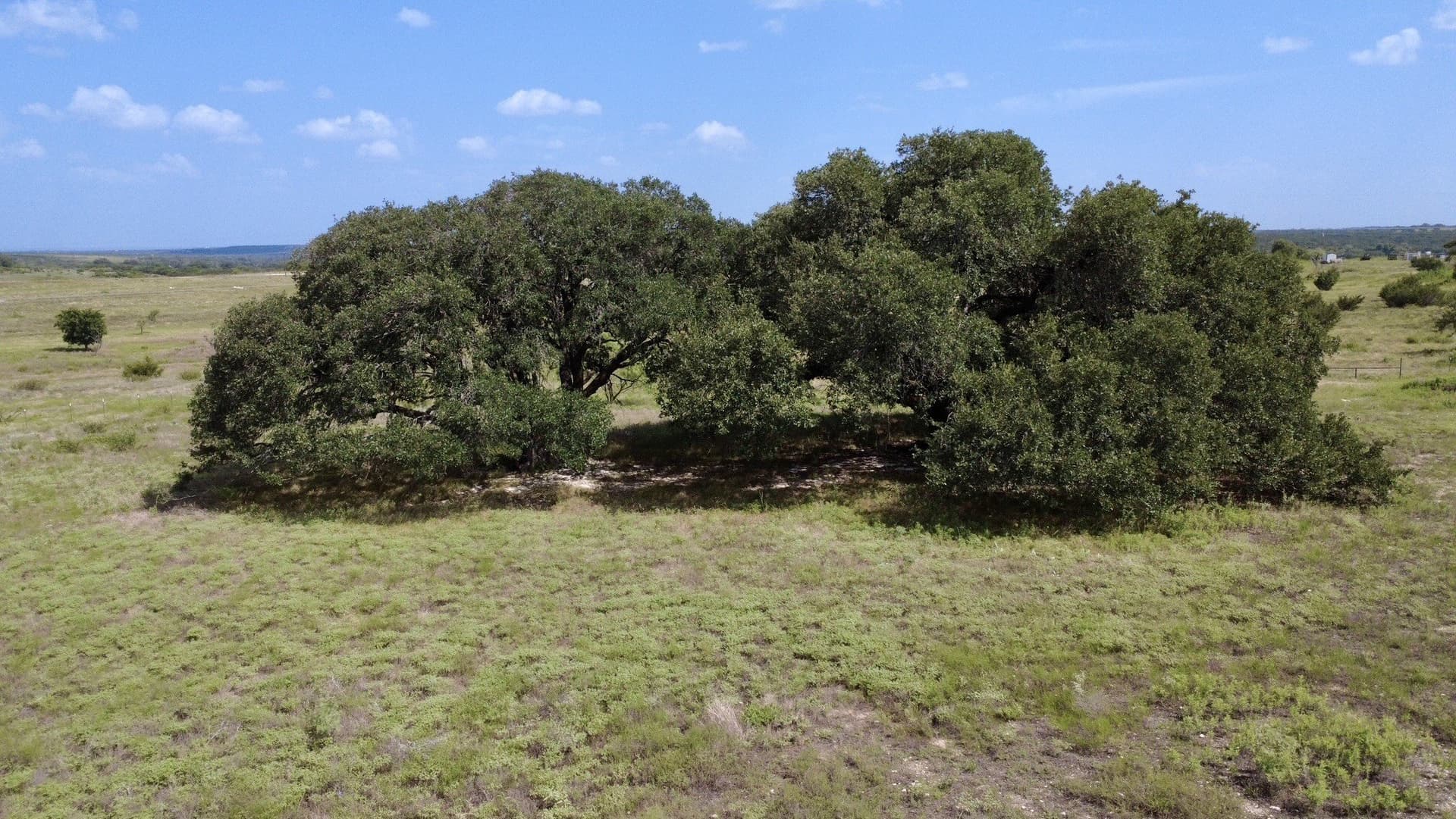 13 acres in Hamilton County - photo 8