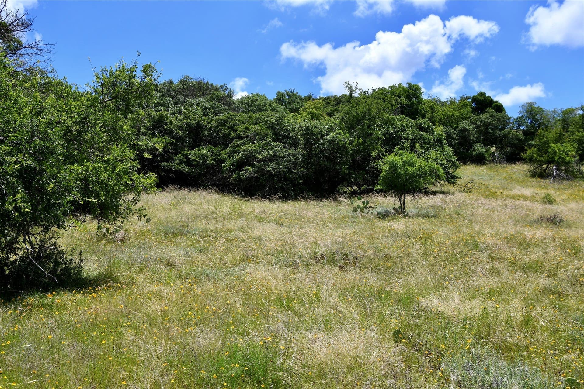 69.7 acres in Brown County - photo 37
