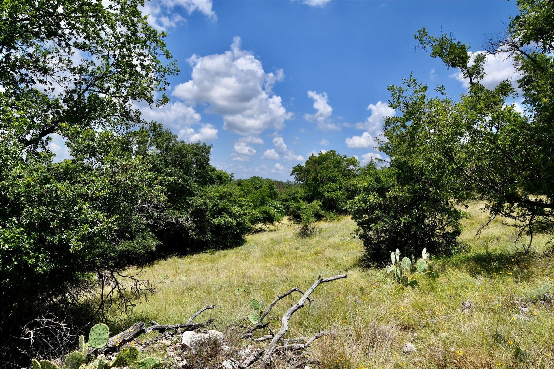 69.7 acres in Brown County - photo 36