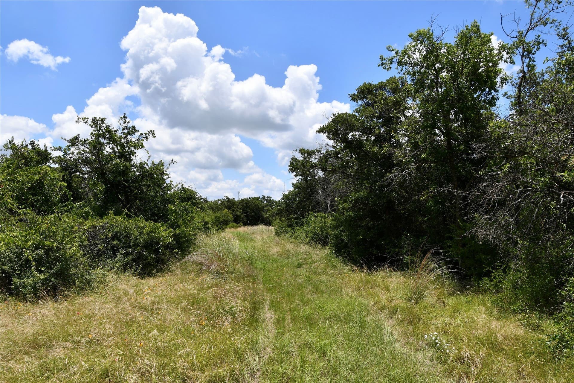 69.7 acres in Brown County - photo 40