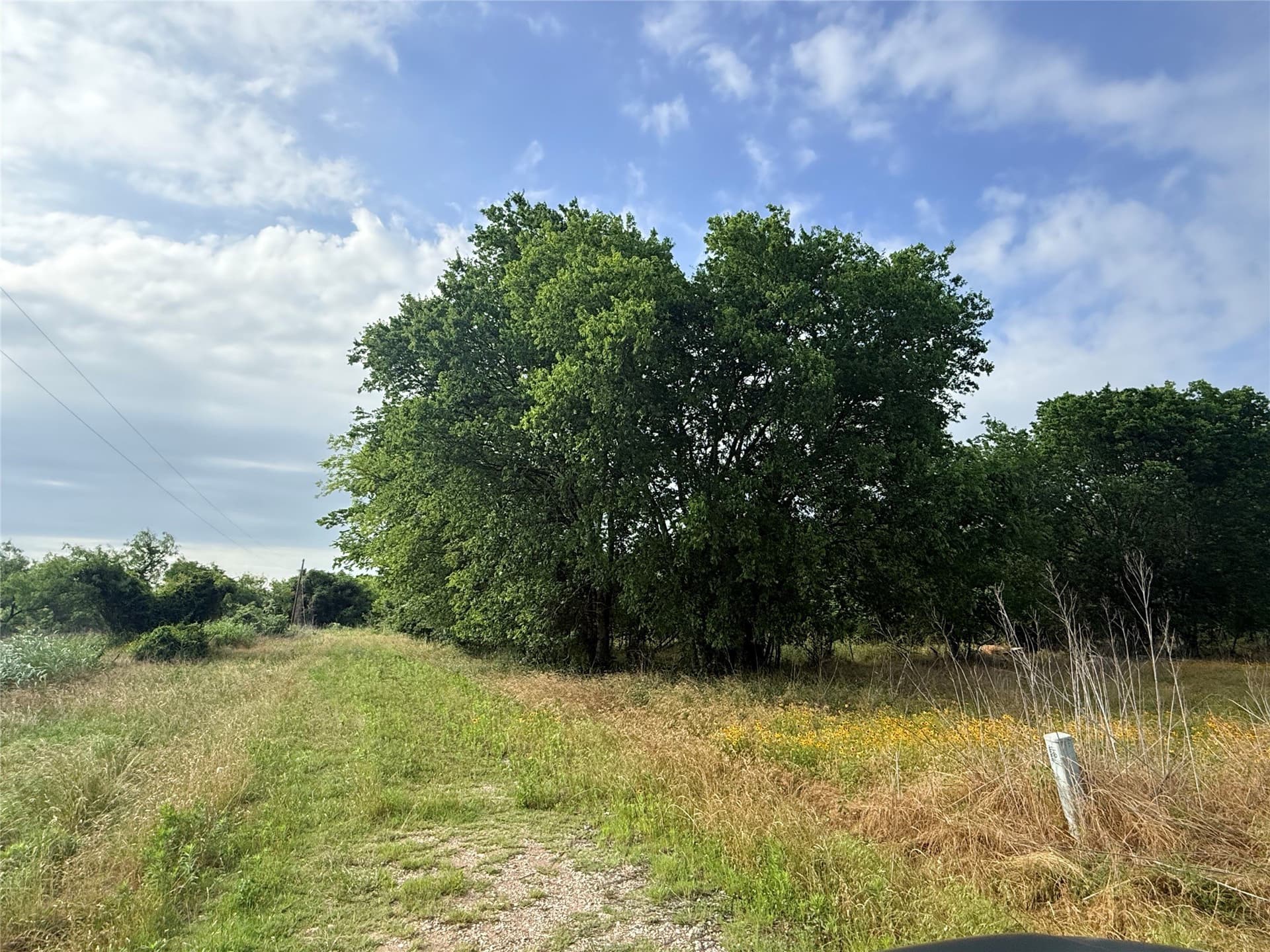 2.43 acres in Falls County - photo 2
