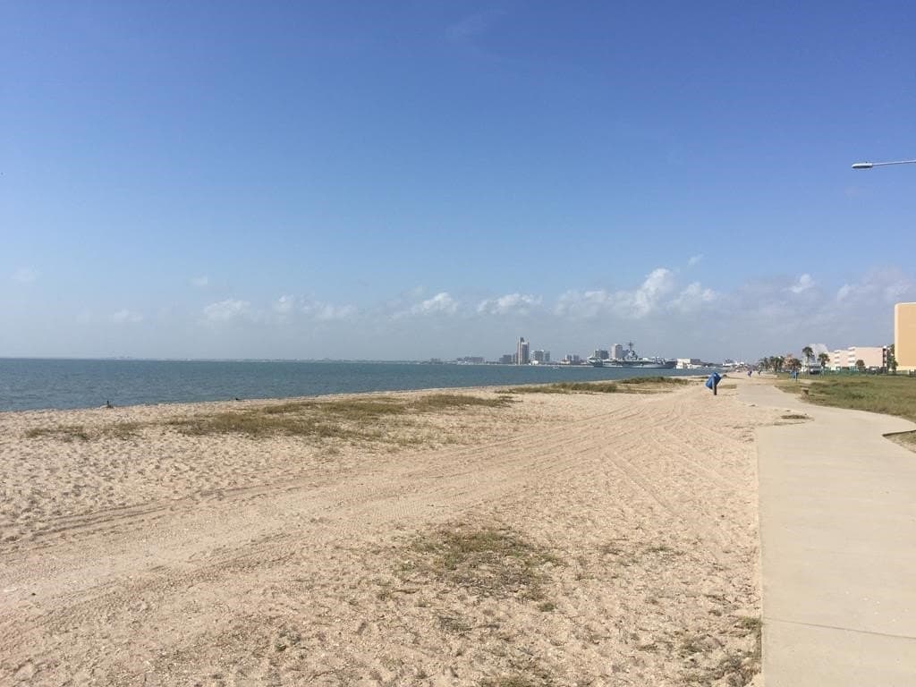 0.6 acres in Nueces County - photo 8
