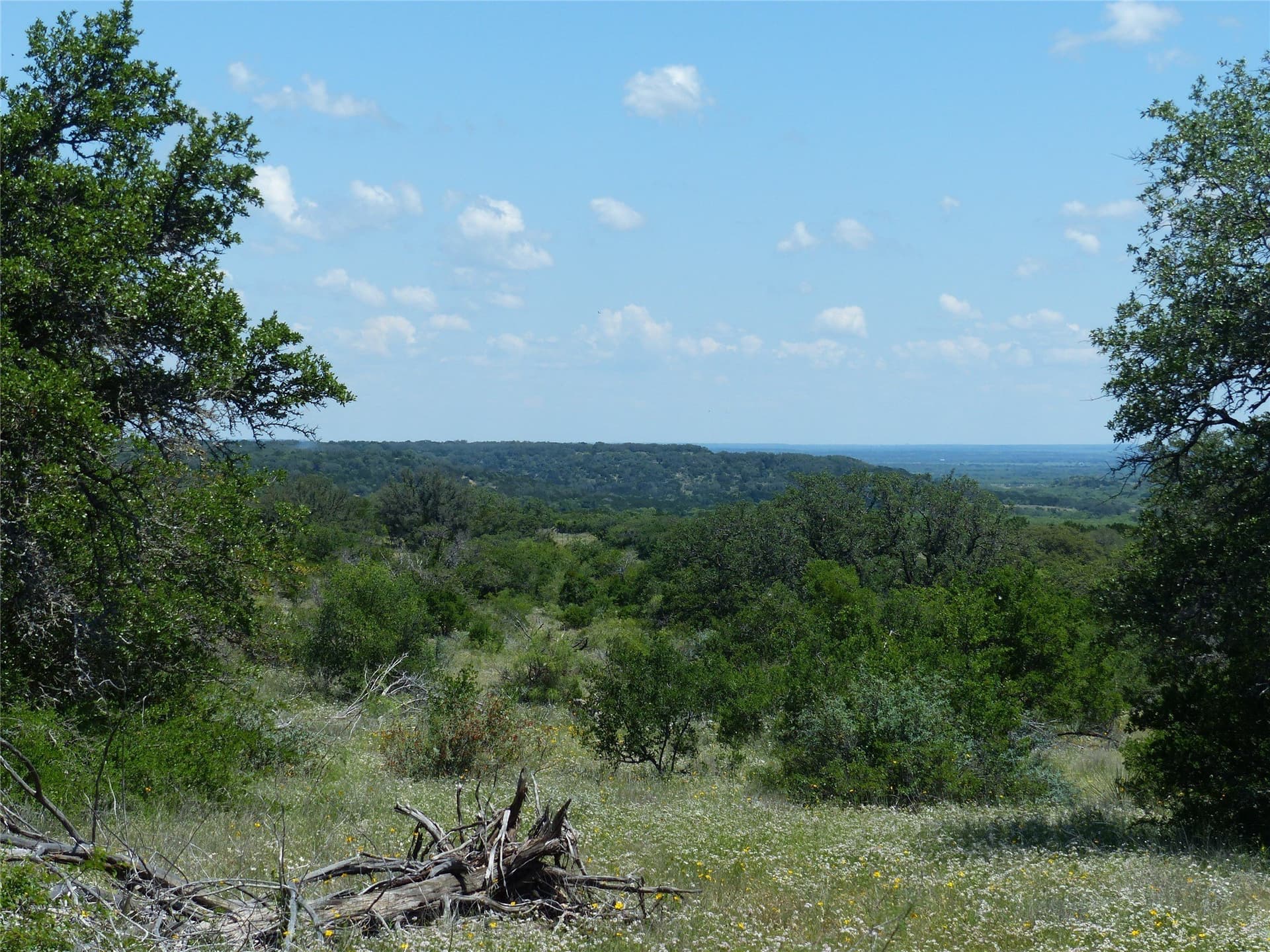 319 acres in McCulloch County - photo 6