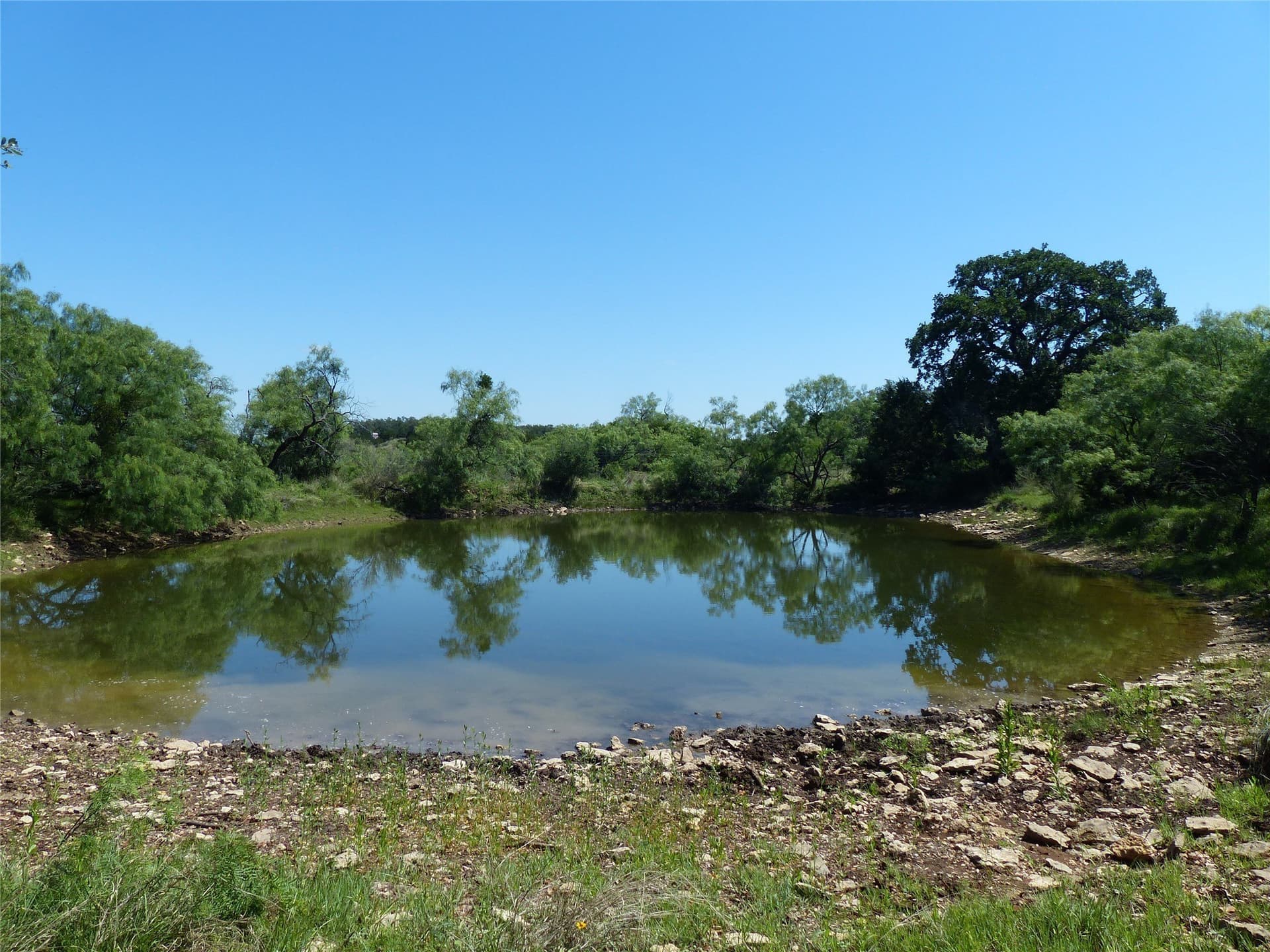 319 acres in McCulloch County gallery image 3