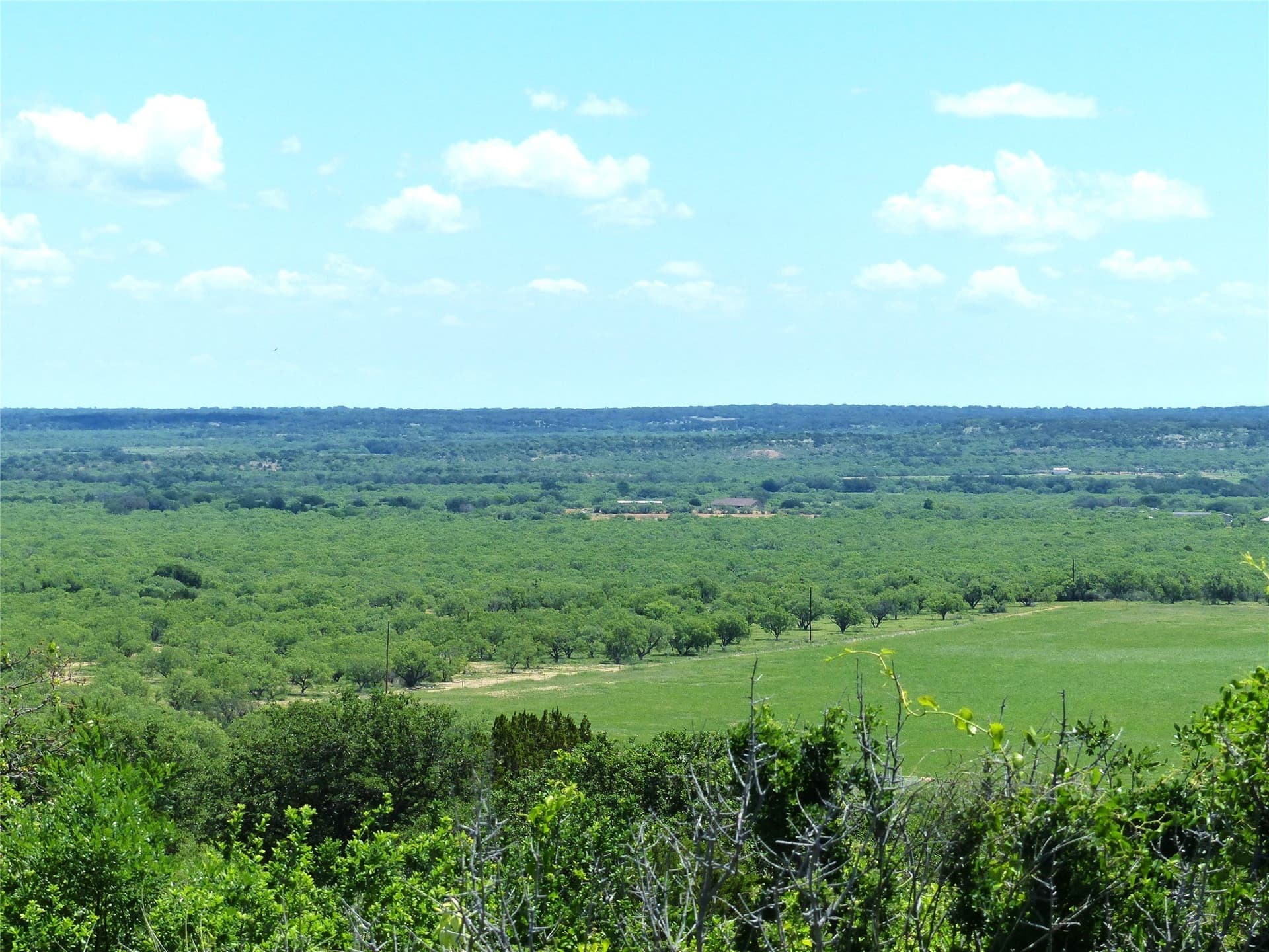 319 acres in McCulloch County - photo 14