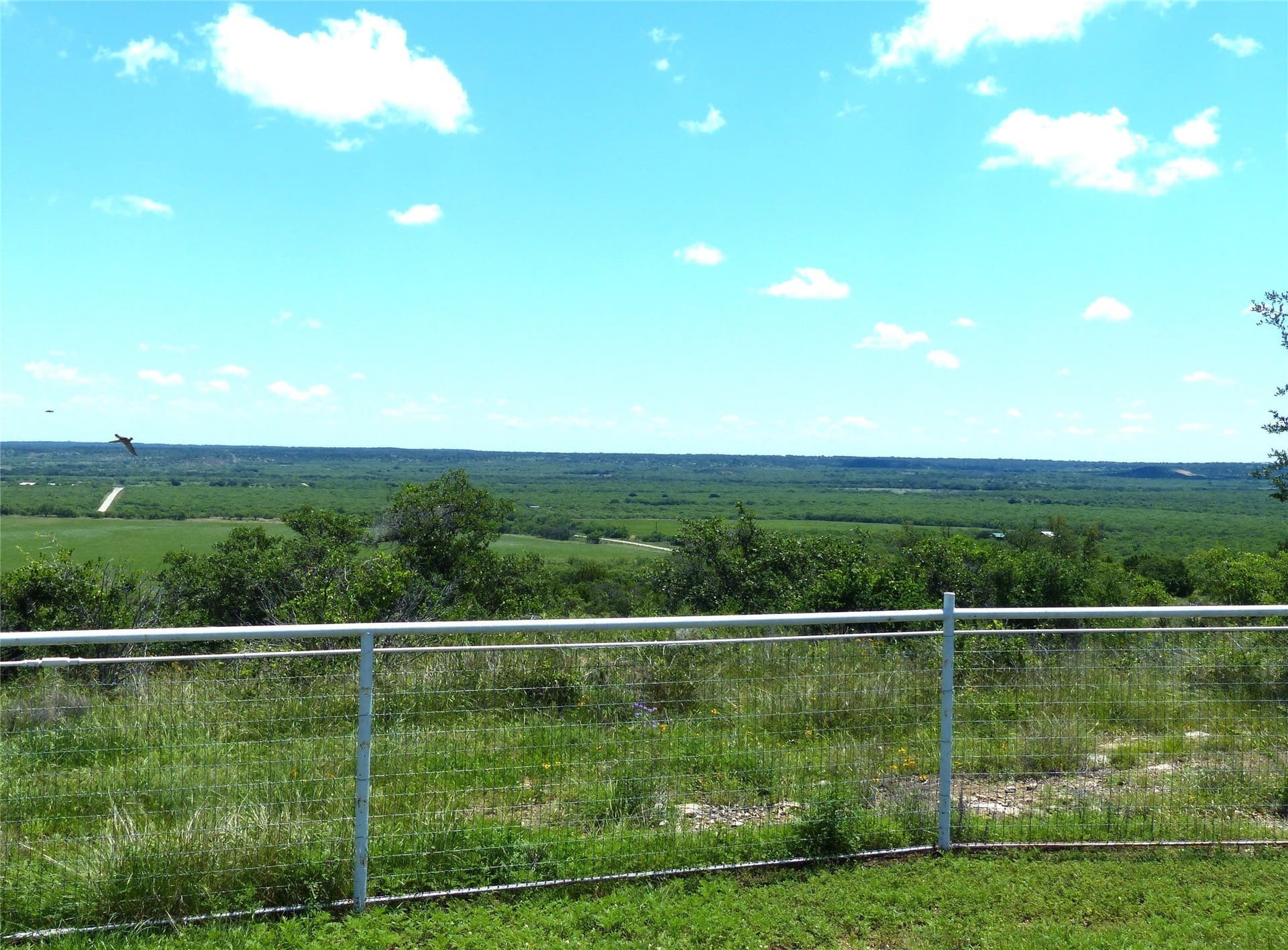 319 acres in McCulloch County - photo 12