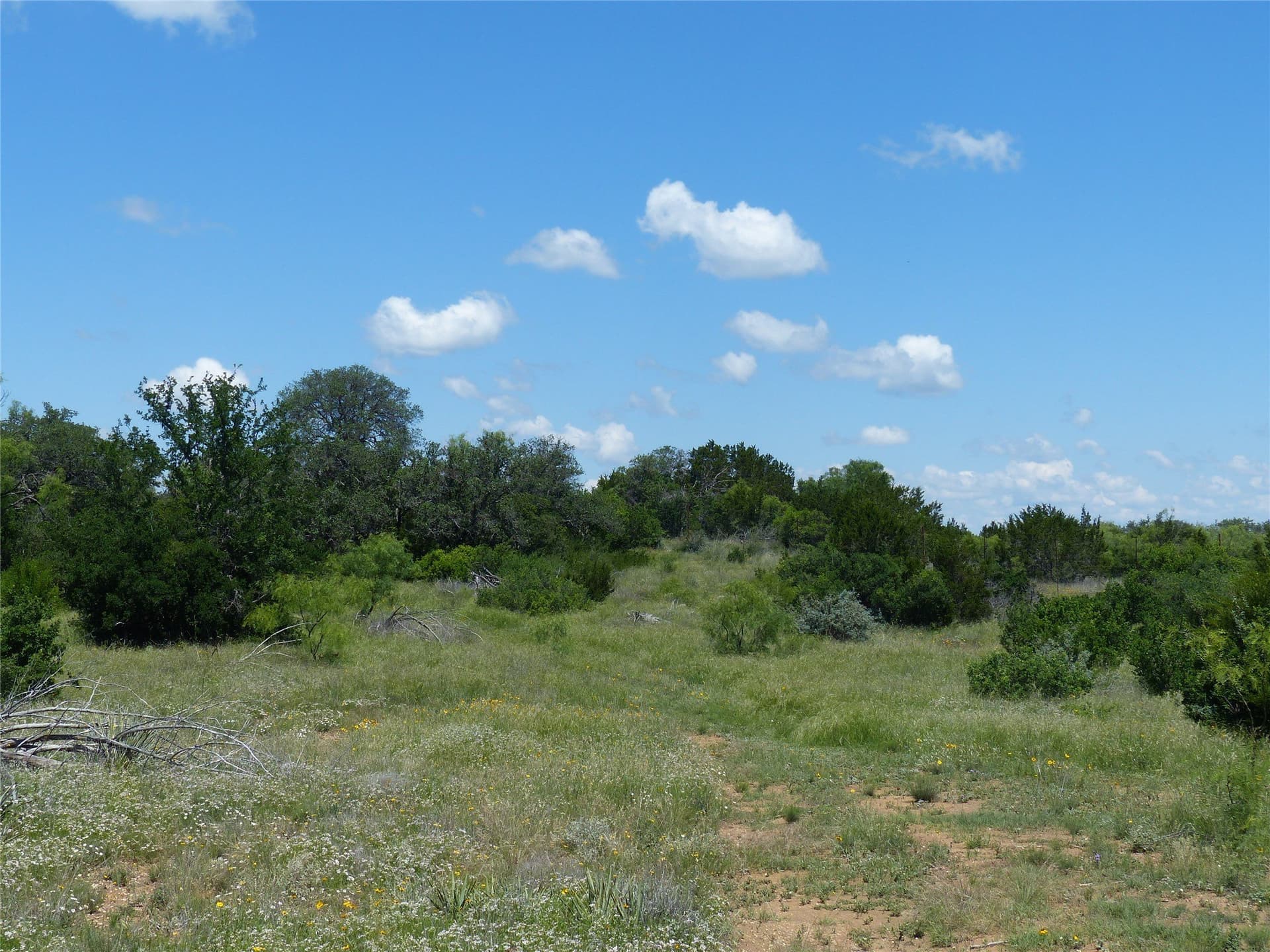 319 acres in McCulloch County - photo 8