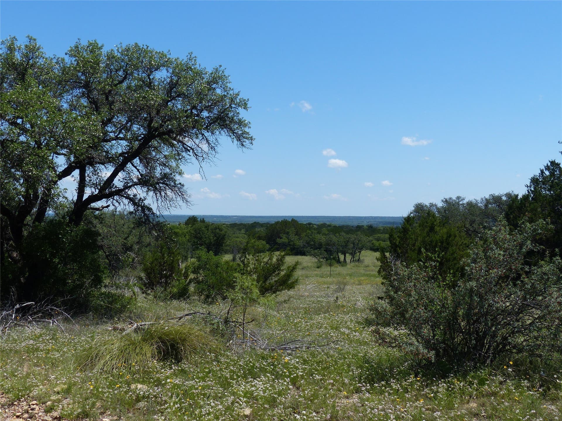 319 acres in McCulloch County - photo 7