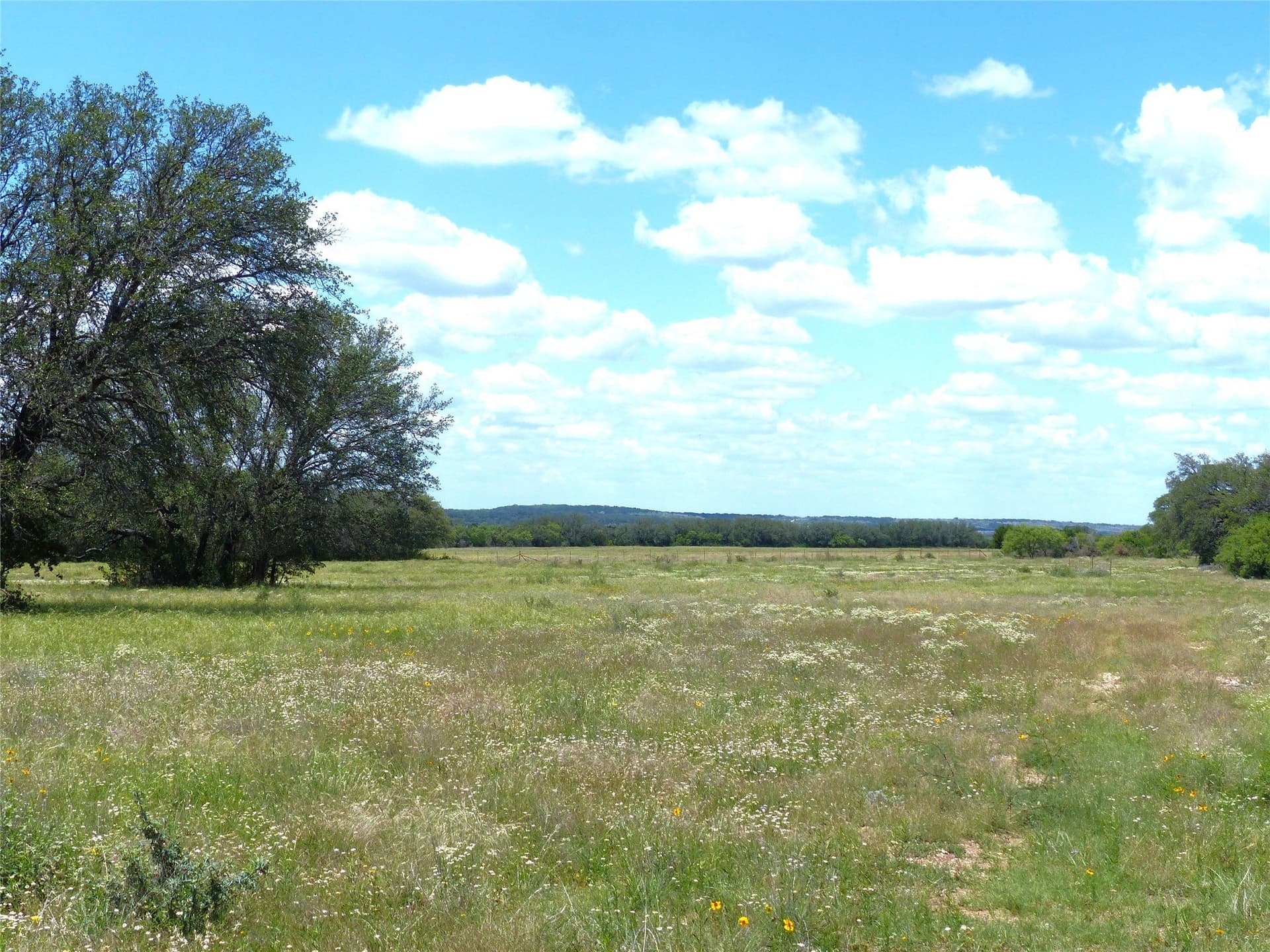 319 acres in McCulloch County - photo 20