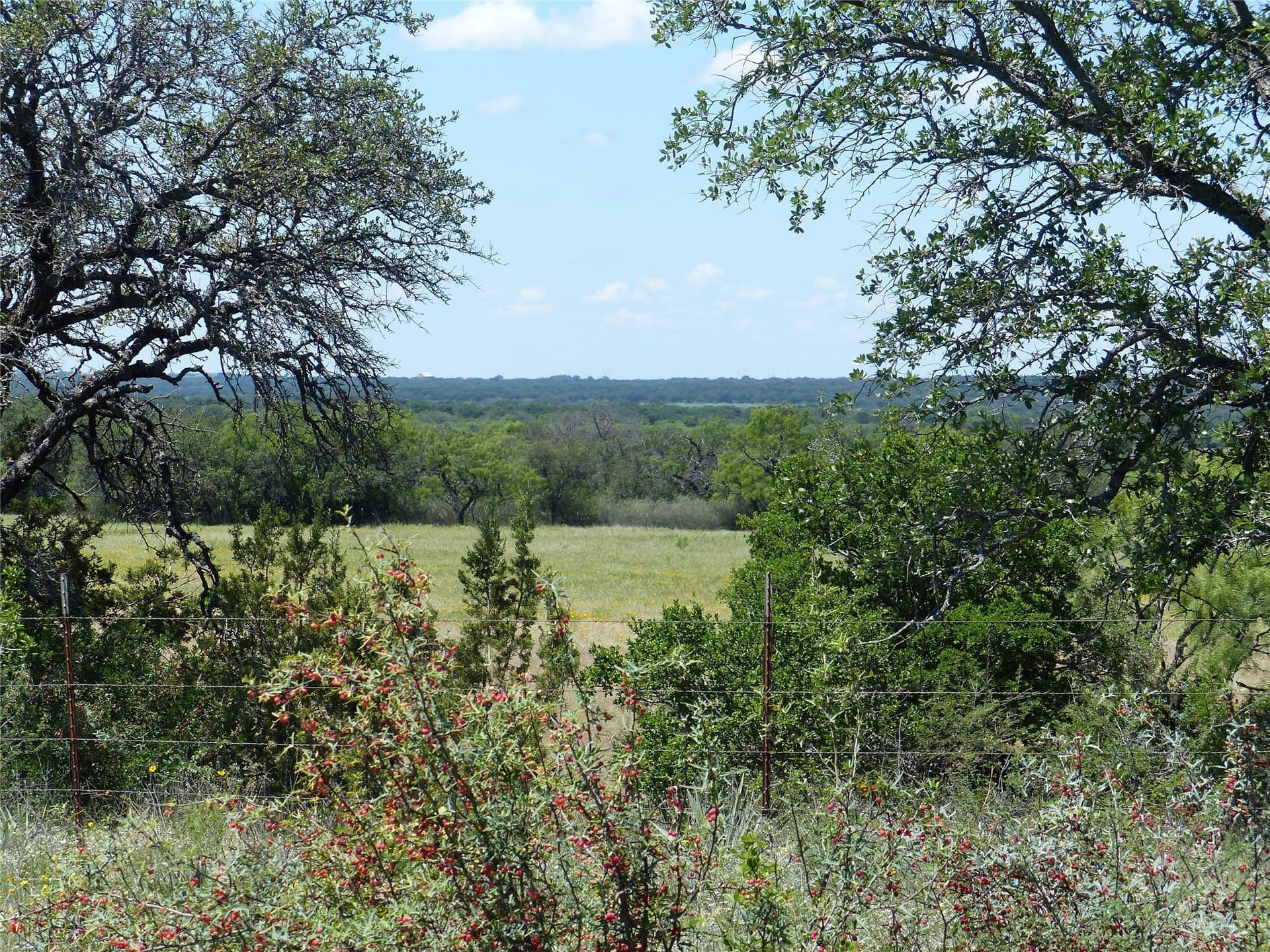 319 acres in McCulloch County - photo 9