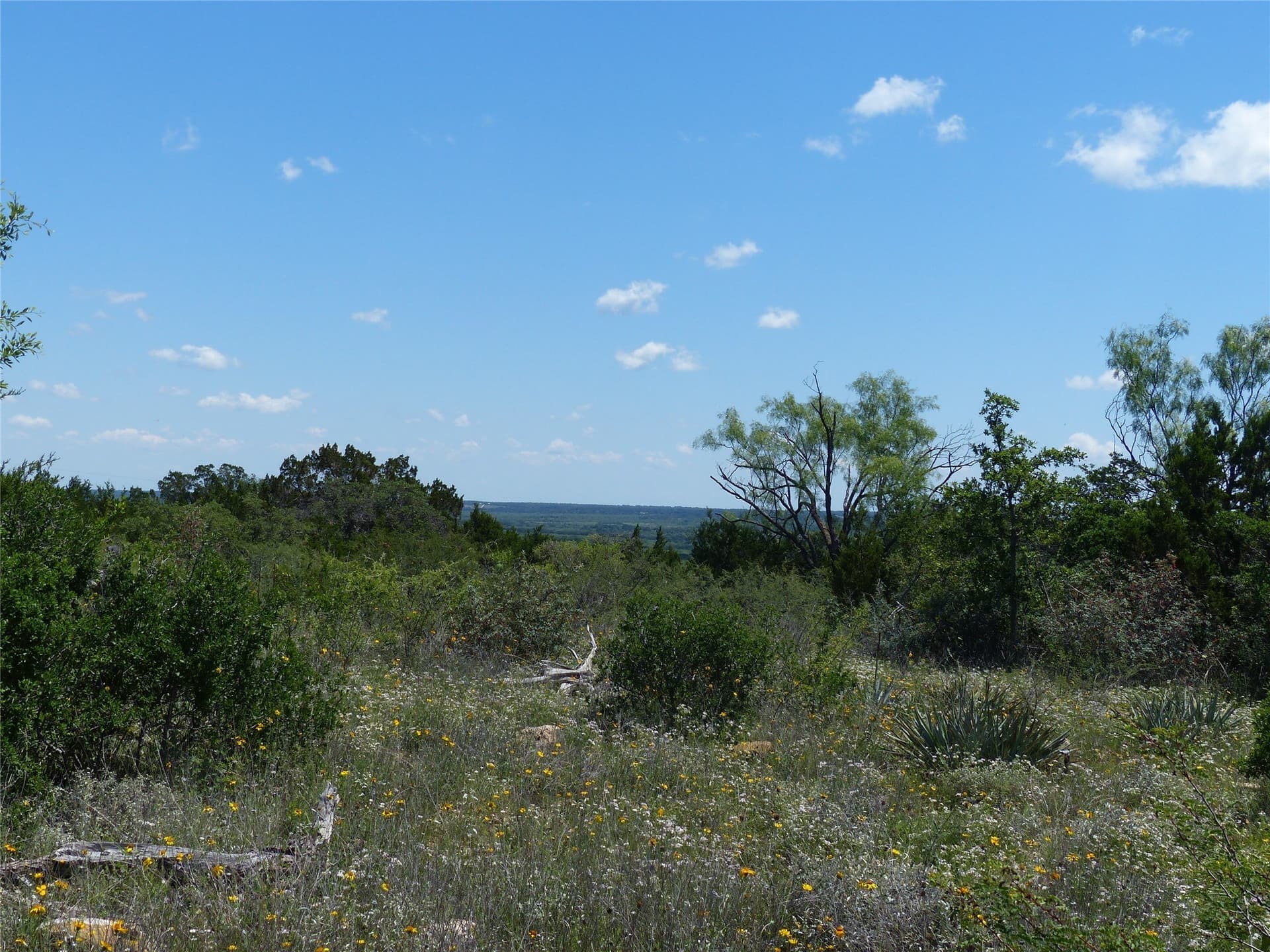 319 acres in McCulloch County - photo 10