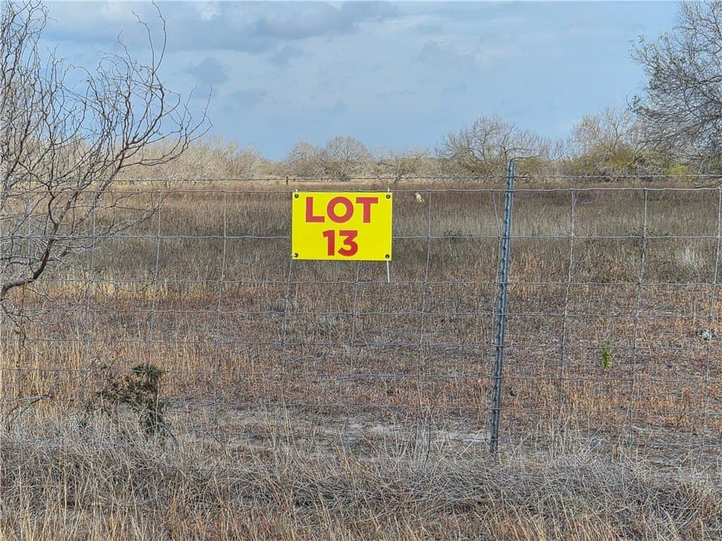 2.5 acres in Kleberg County gallery image 2
