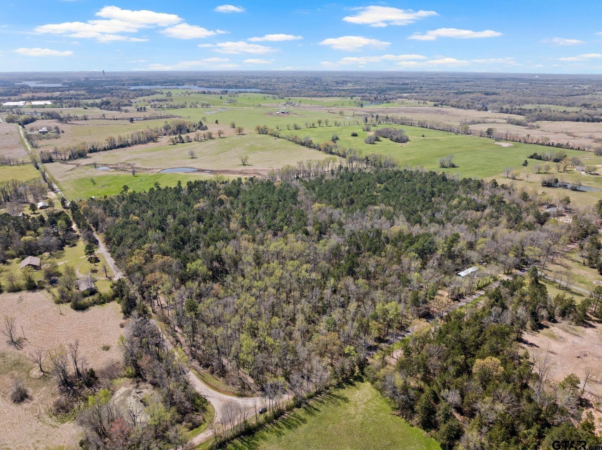 5.65 acres in Titus County - photo 9
