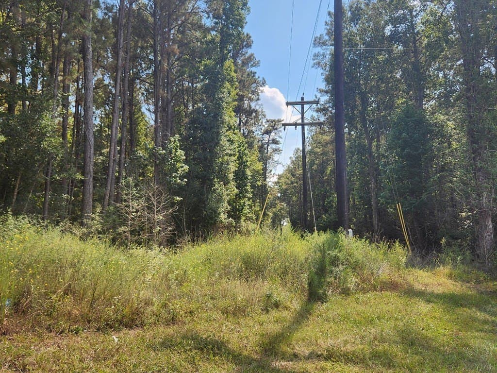 13.46 acres in Texas County gallery image 3
