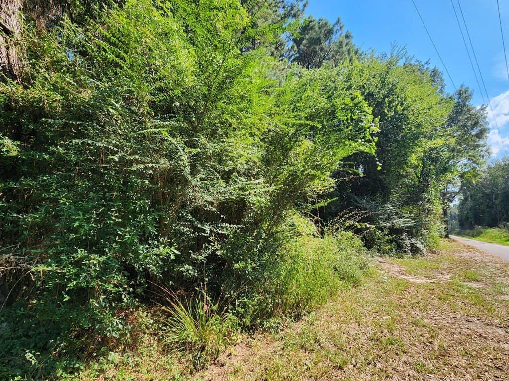 13.46 acres in Texas County featured view