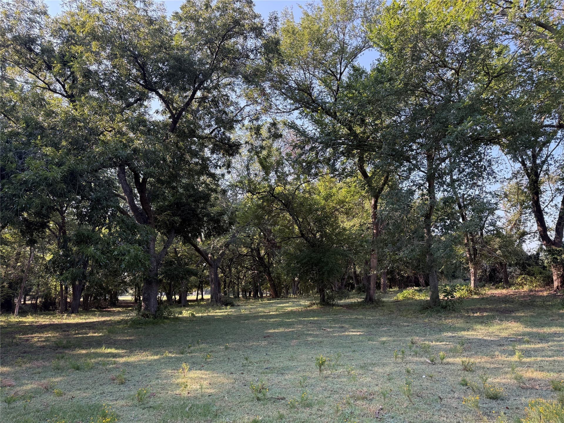 11.1 acres in Denton County - photo 6