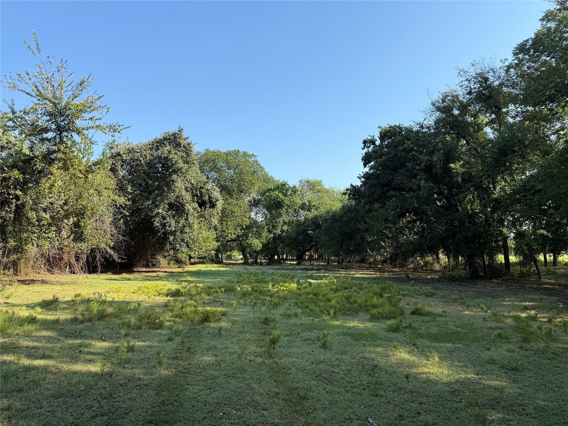 11.1 acres in Denton County - photo 8