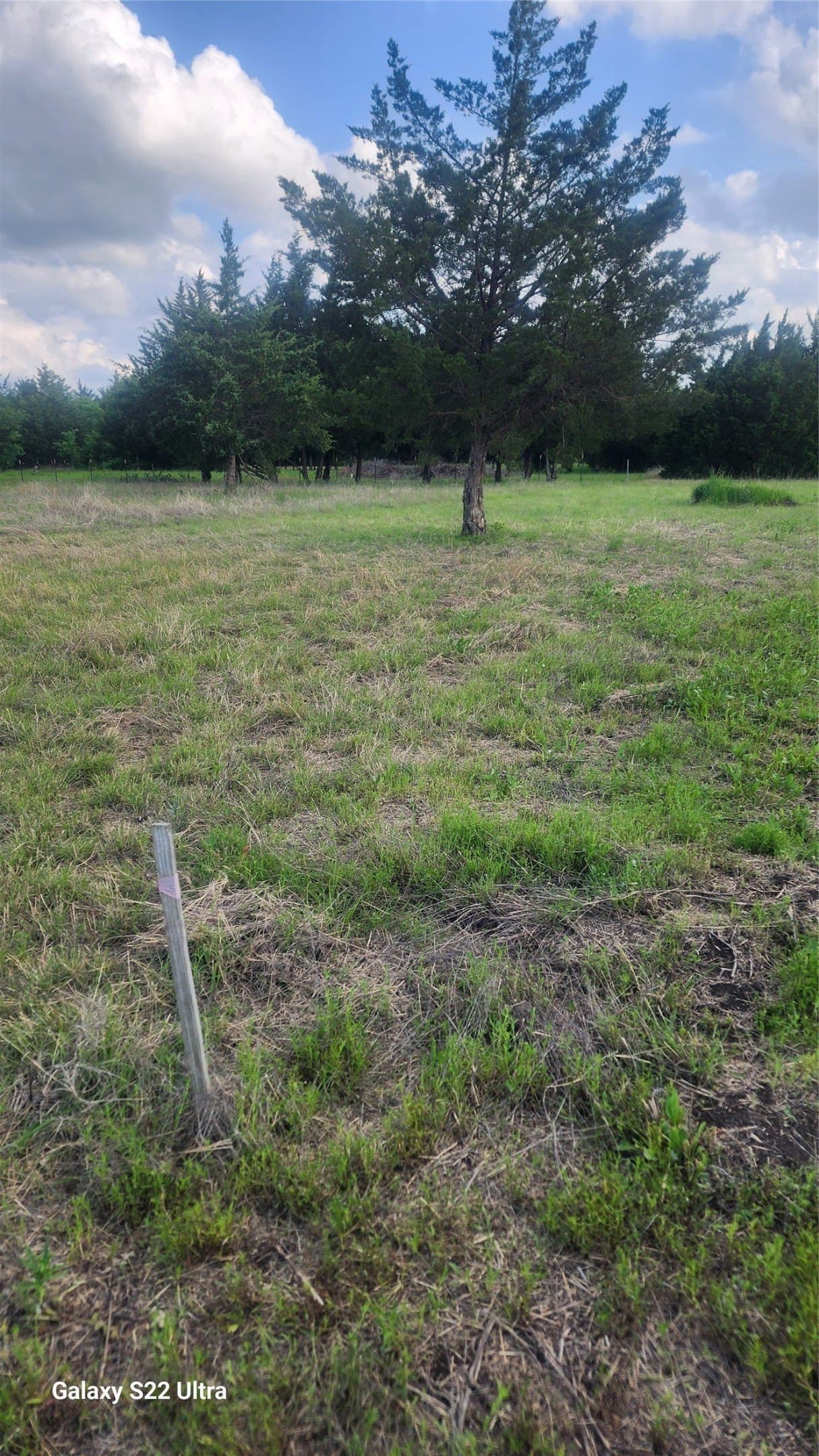 0.23 acres in Ellis County gallery image 2