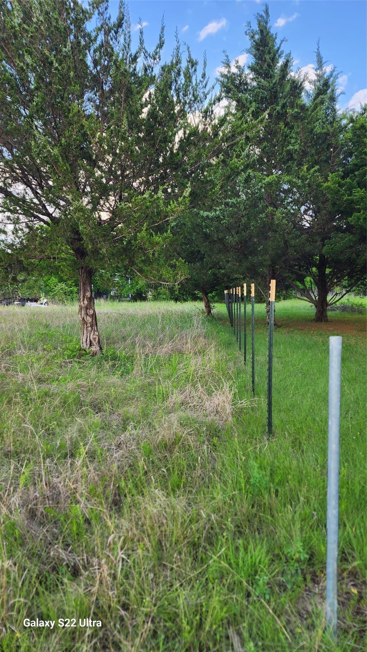 0.23 acres in Ellis County gallery image 4