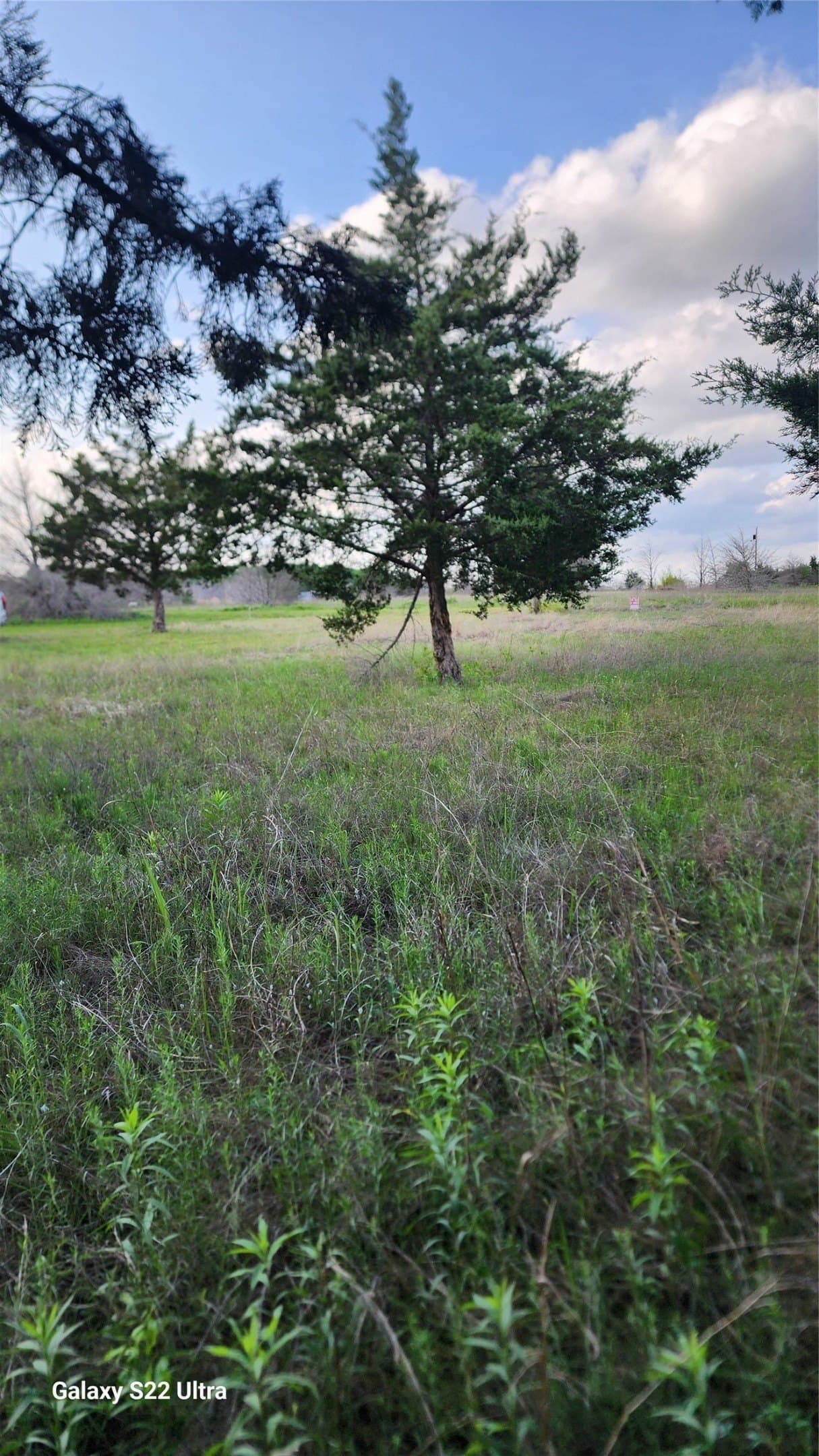 0.23 acres in Ellis County - photo 6