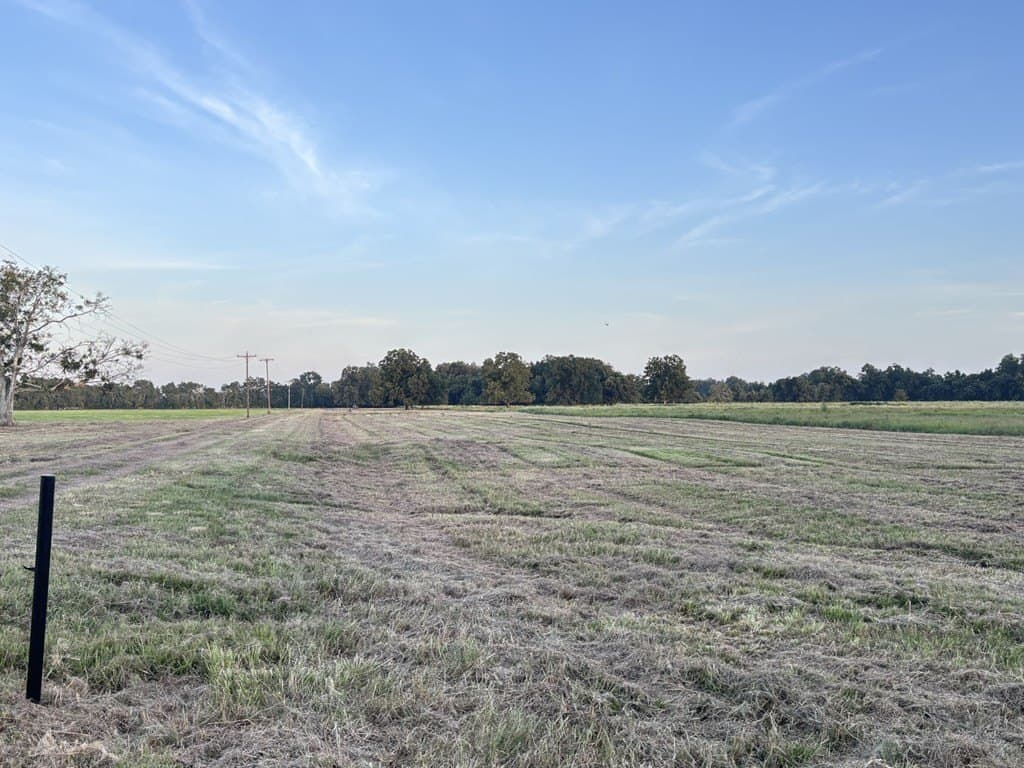 10.98 acres in Texas County gallery image 4