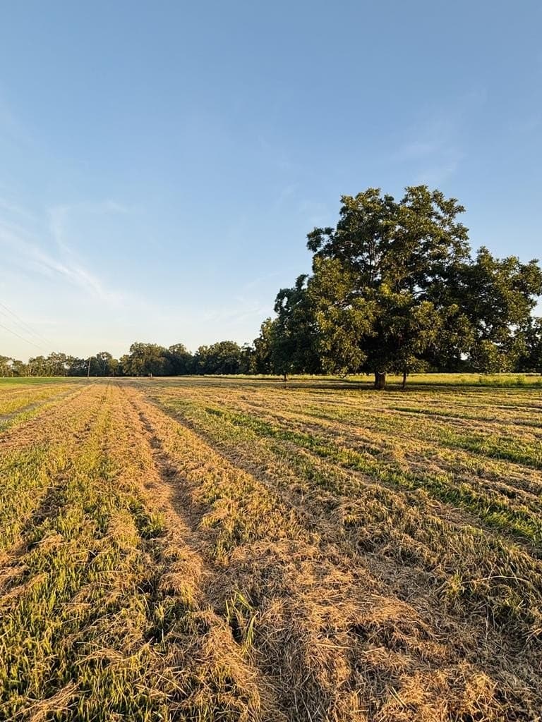 10.98 acres in Texas County