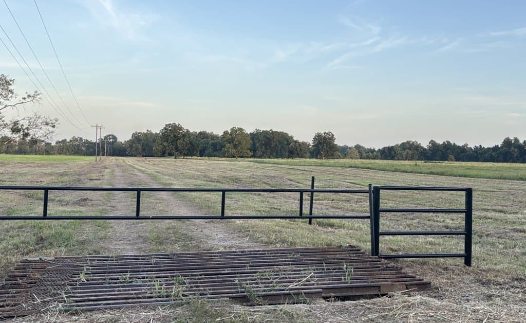 10.98 acres in Texas County gallery image 3