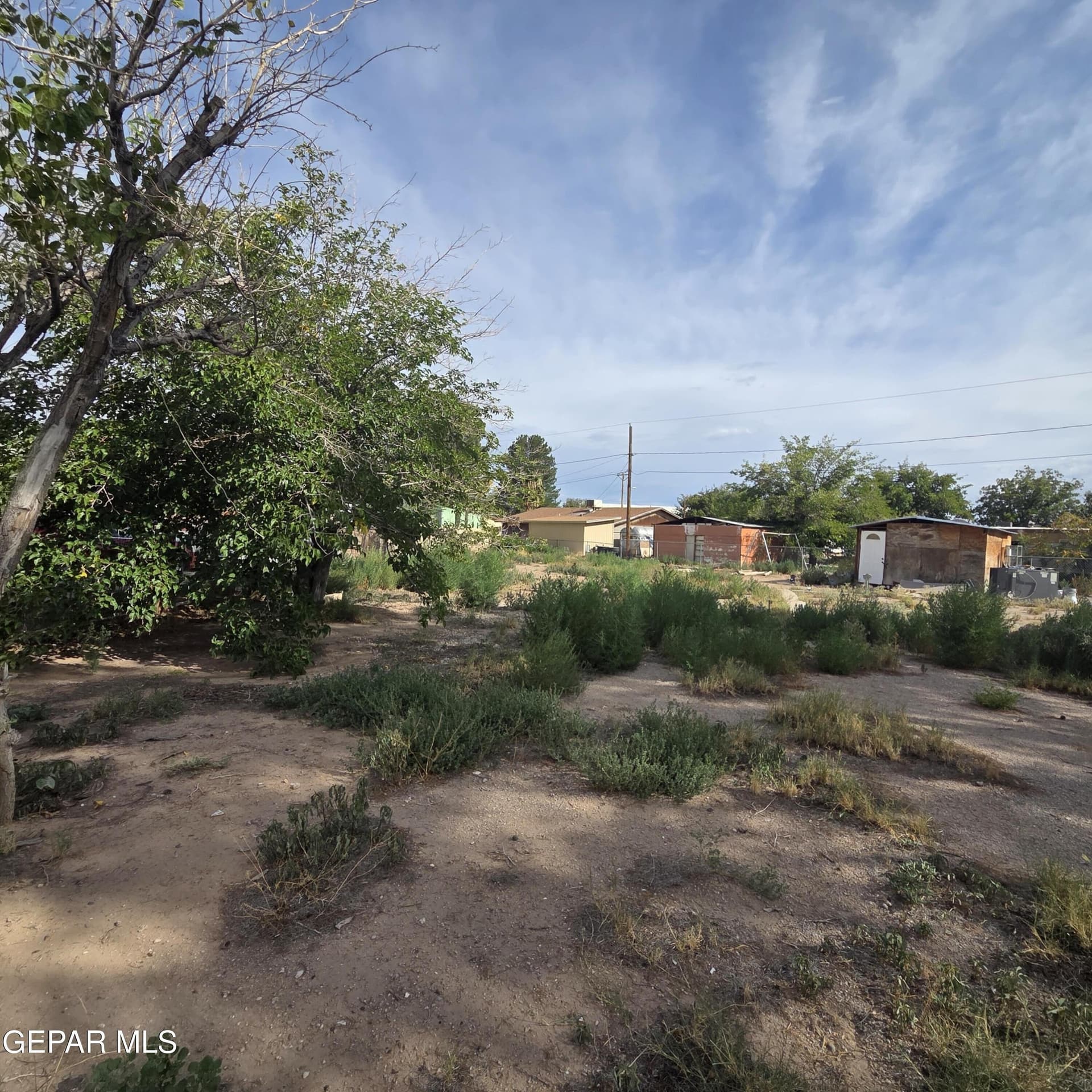 0.27 acres in El Paso County - photo 9