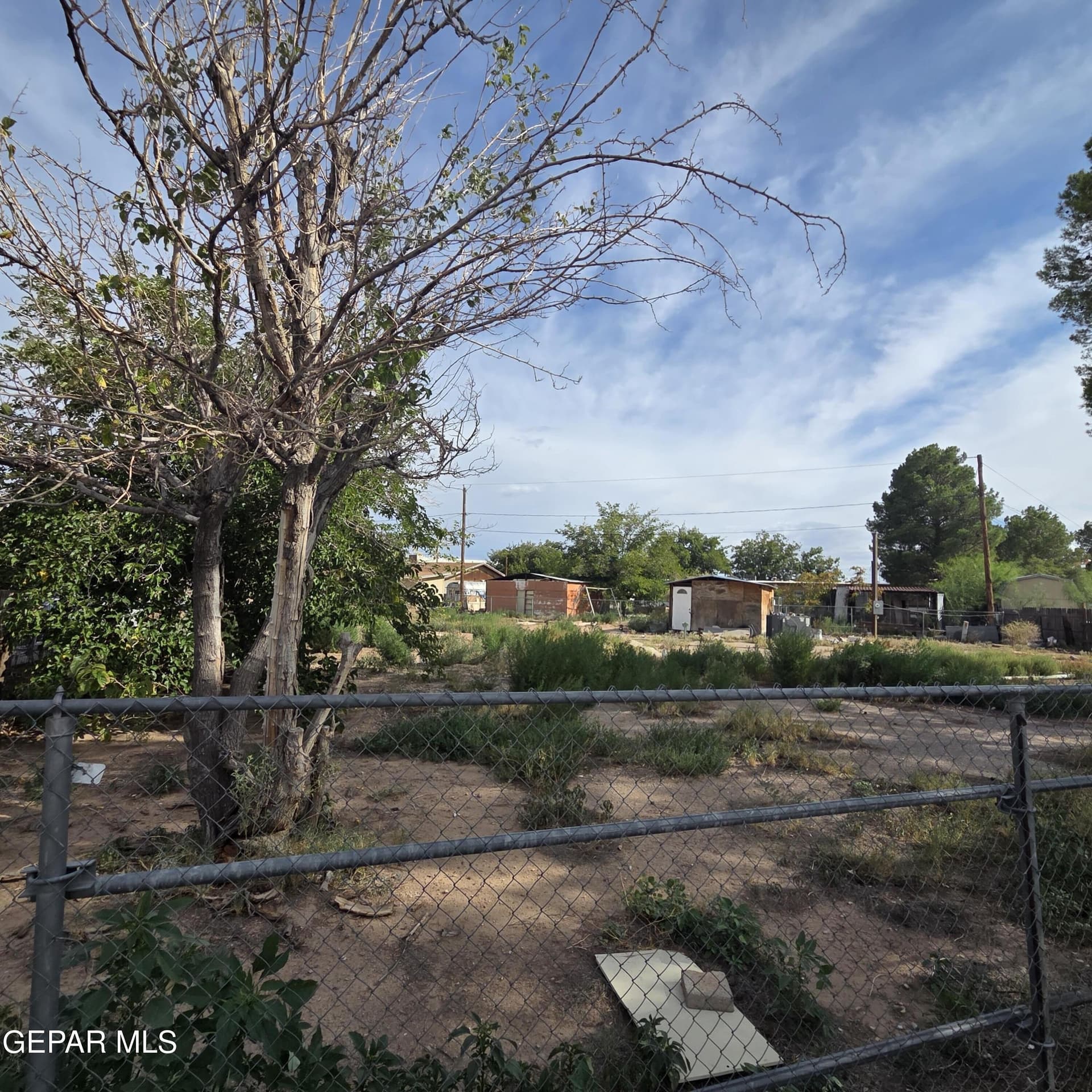 0.27 acres in El Paso County - photo 8