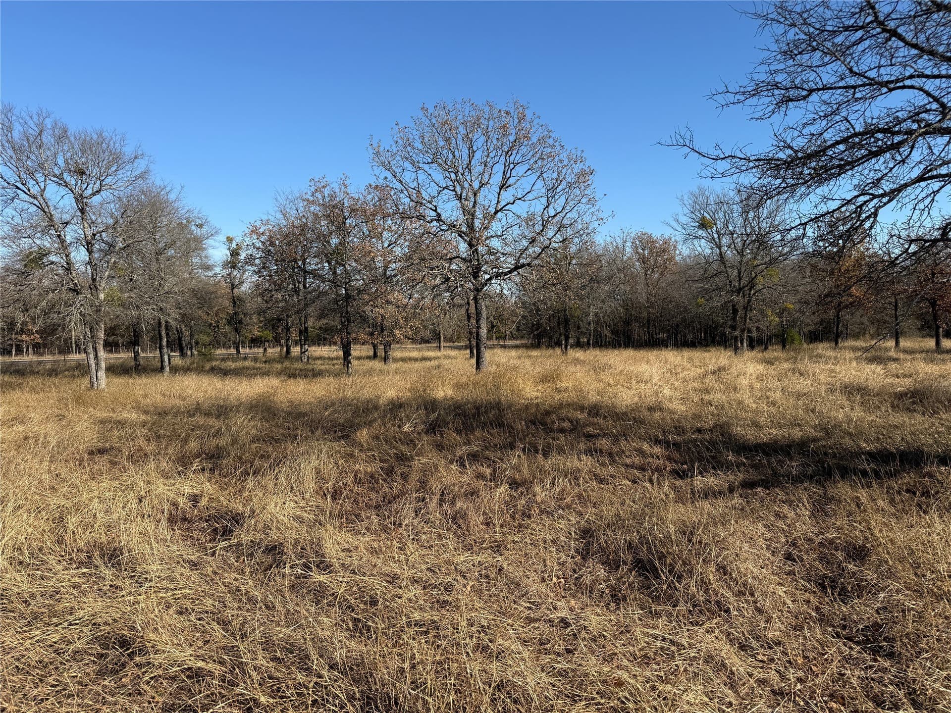 5 acres in Bosque County gallery image 4