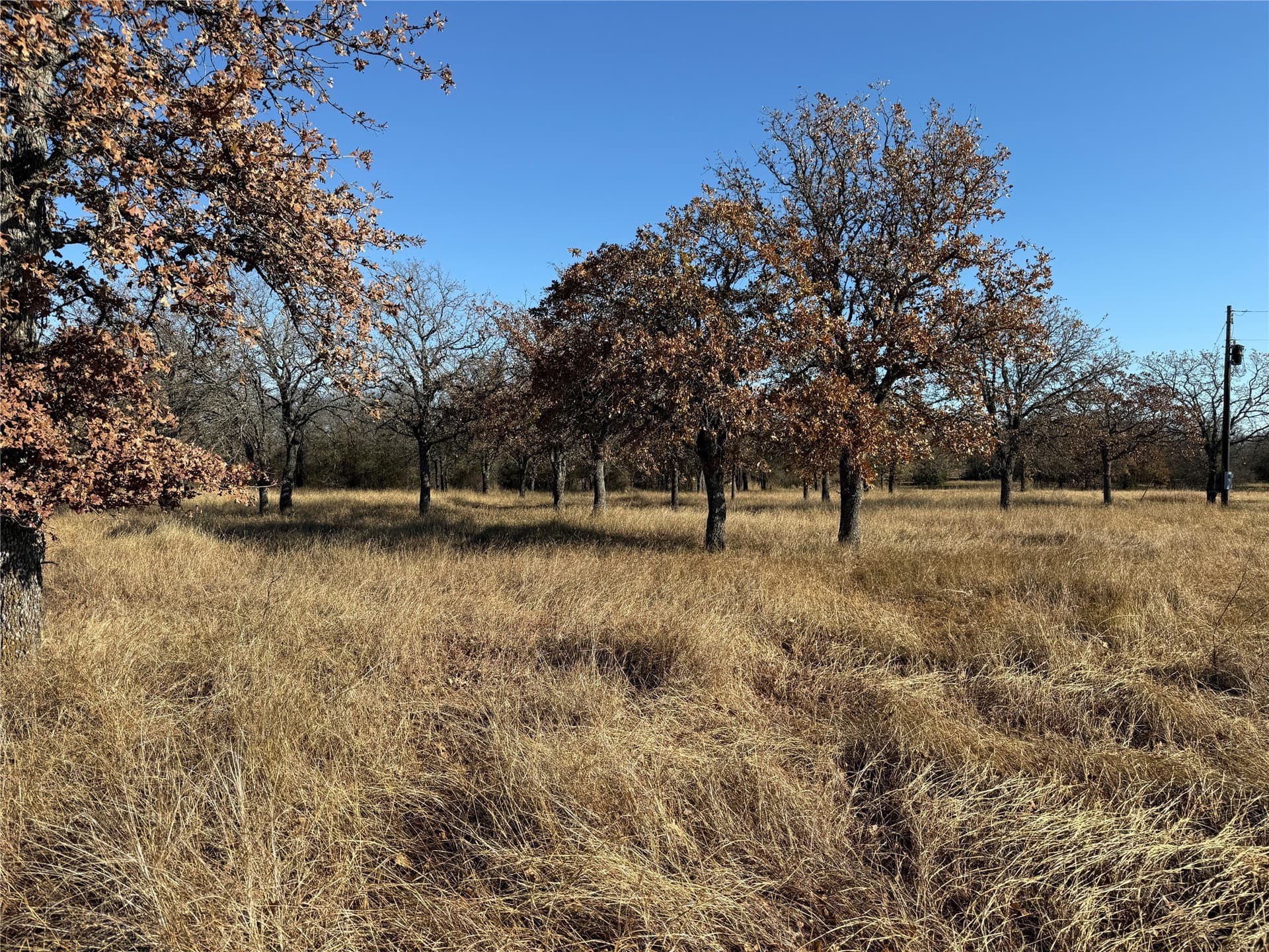 5 acres in Bosque County - photo 6