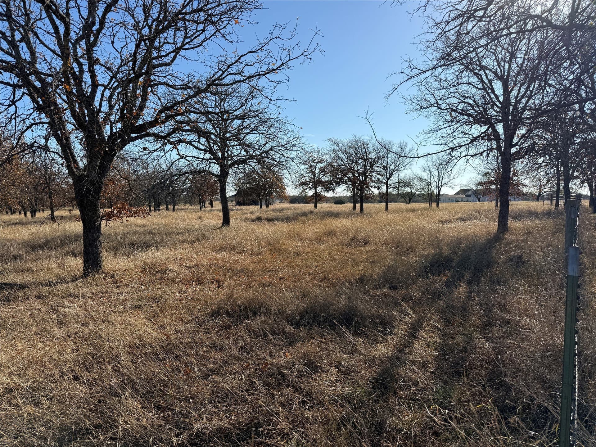 5 acres in Bosque County gallery image 3