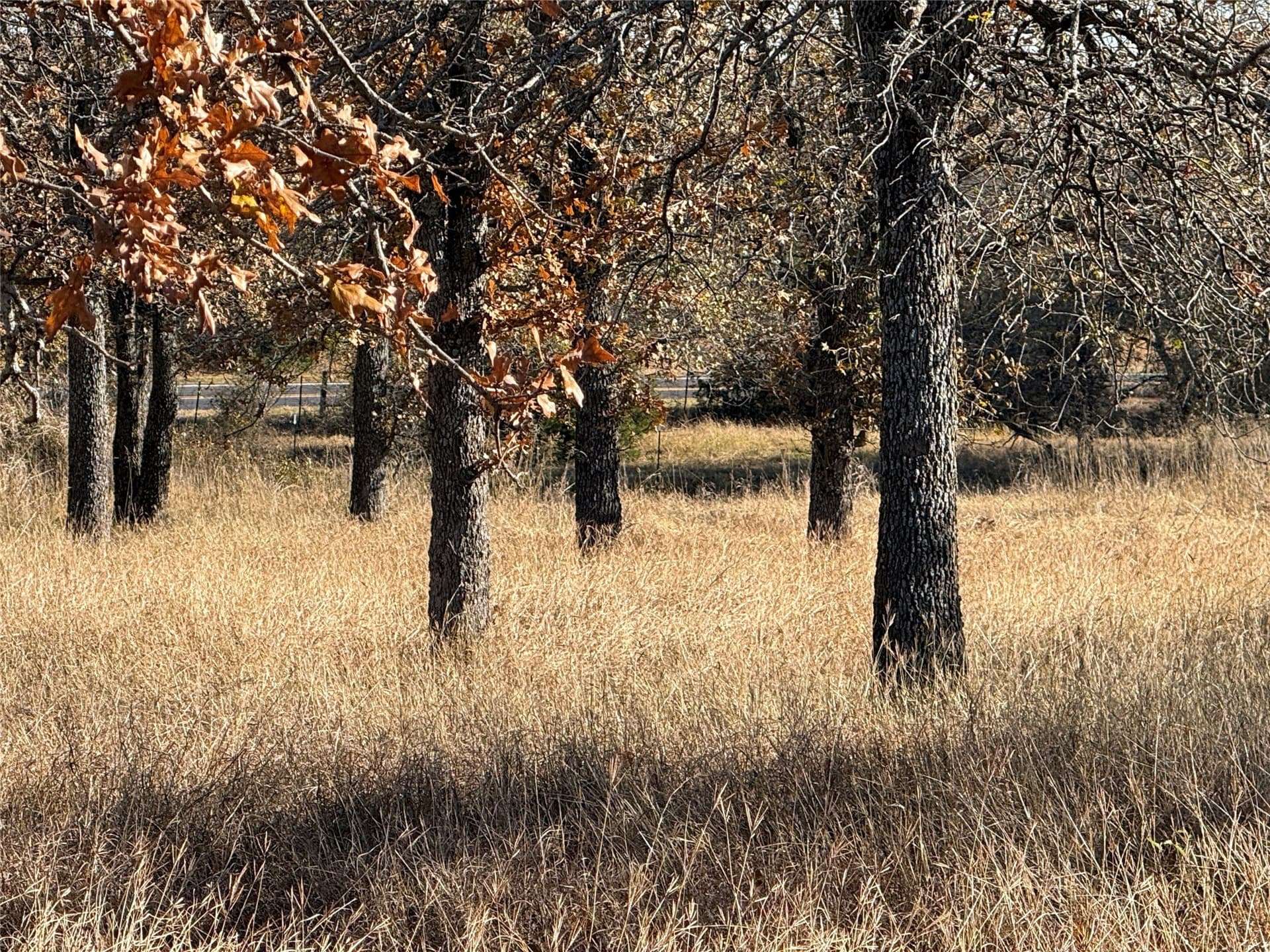 5 acres in Bosque County - photo 7