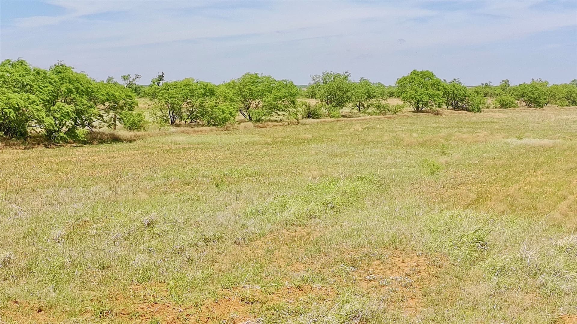 159 acres in Fisher County featured view