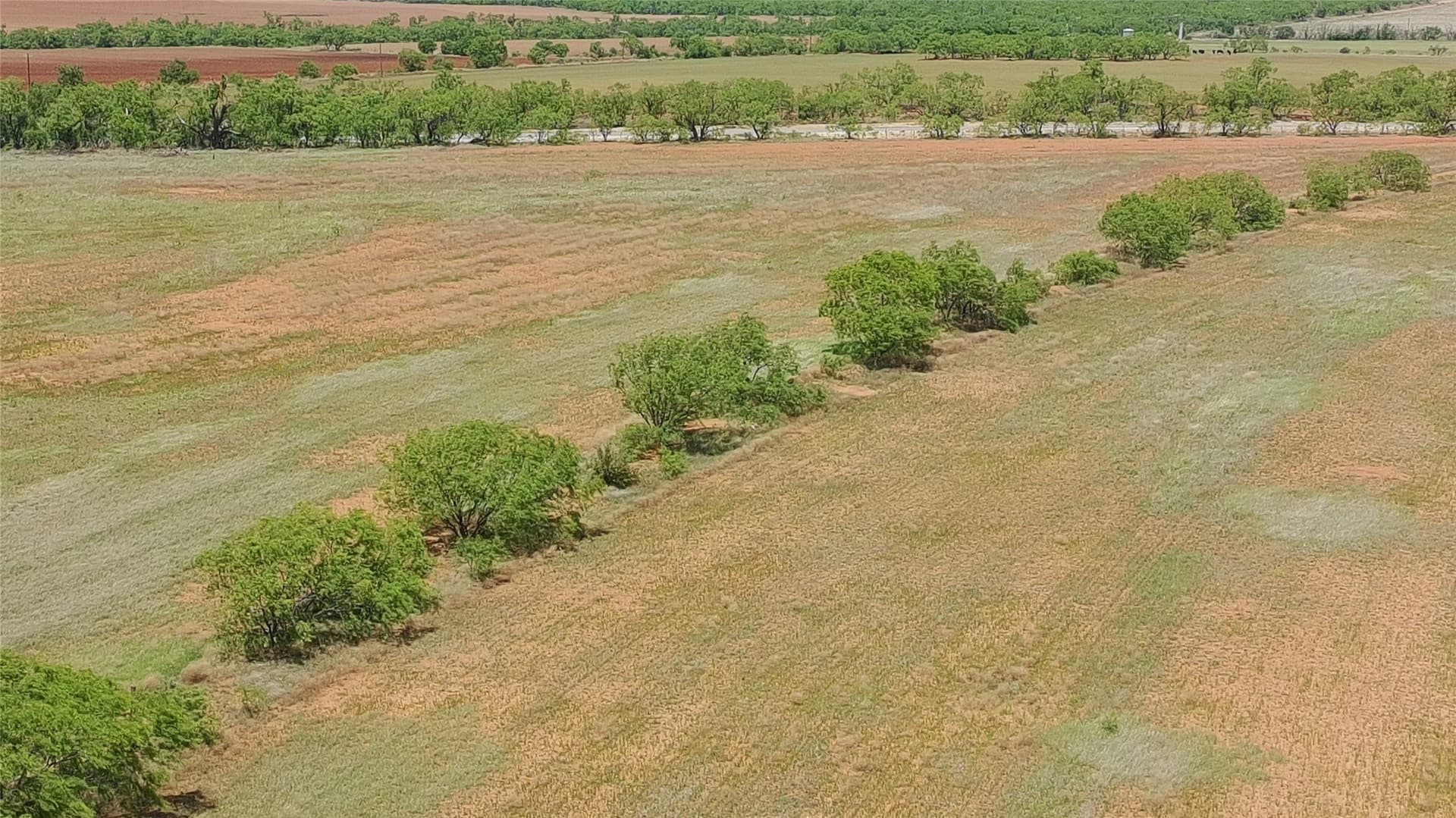 159 acres in Fisher County gallery image 4