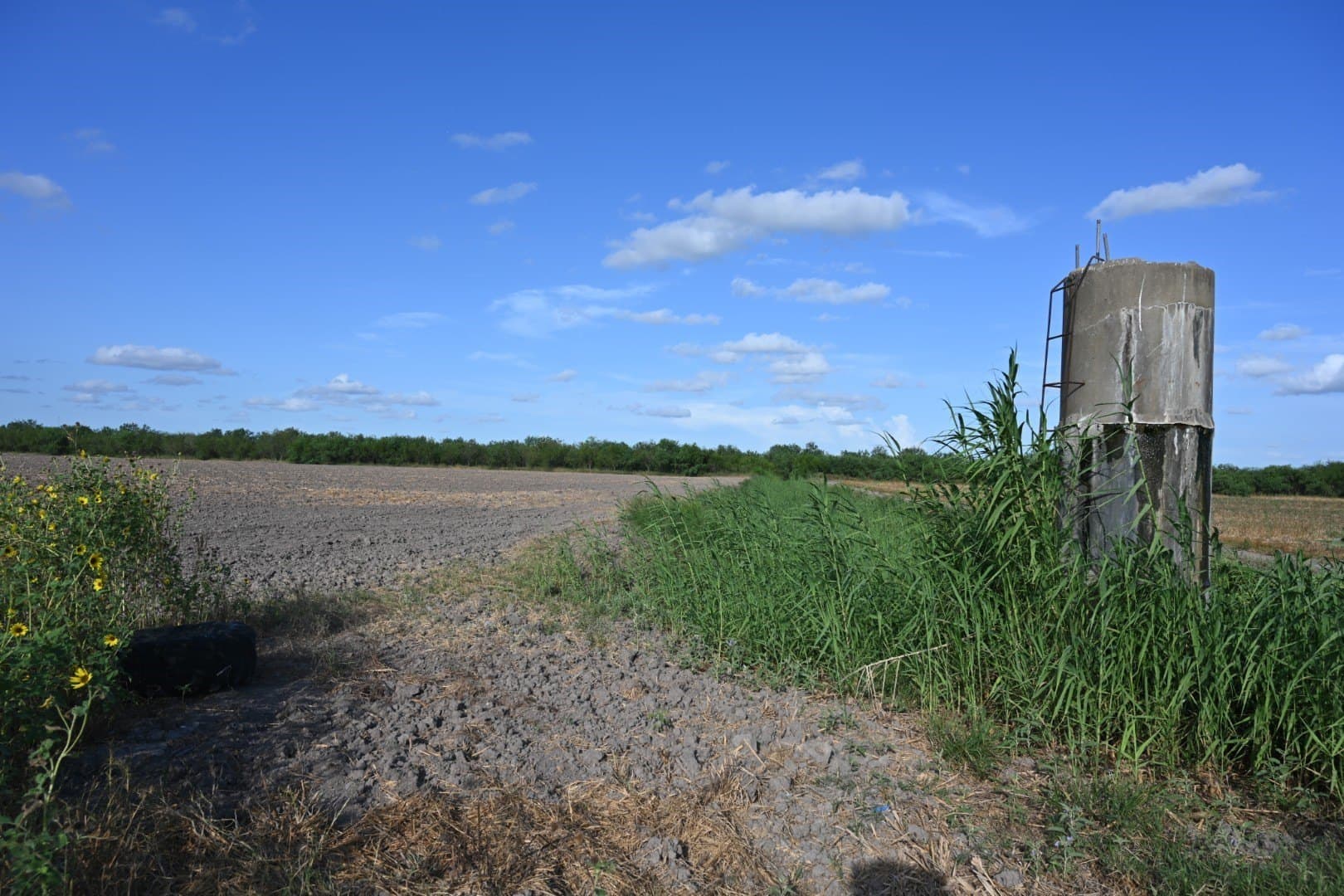15 acres in Cameron (TX) County - photo 5