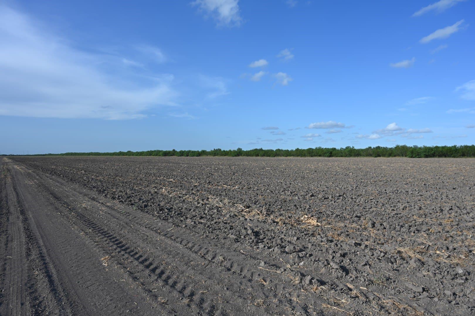 15 acres in Cameron (TX) County - photo 7