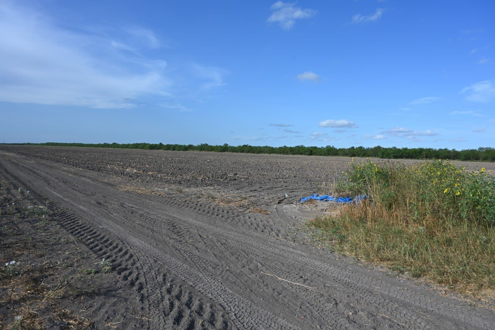15 acres in Cameron (TX) County - photo 3