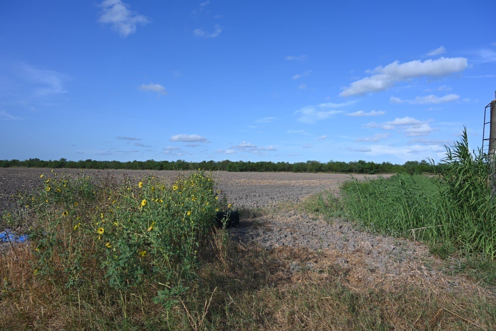 15 acres in Cameron (TX) County - photo 4