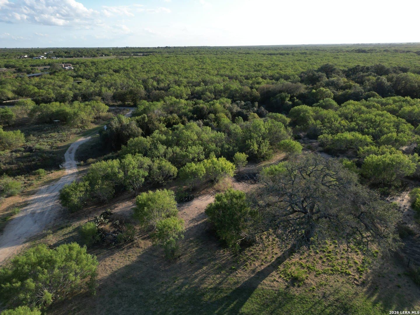 10.13 acres in Atascosa County - photo 30
