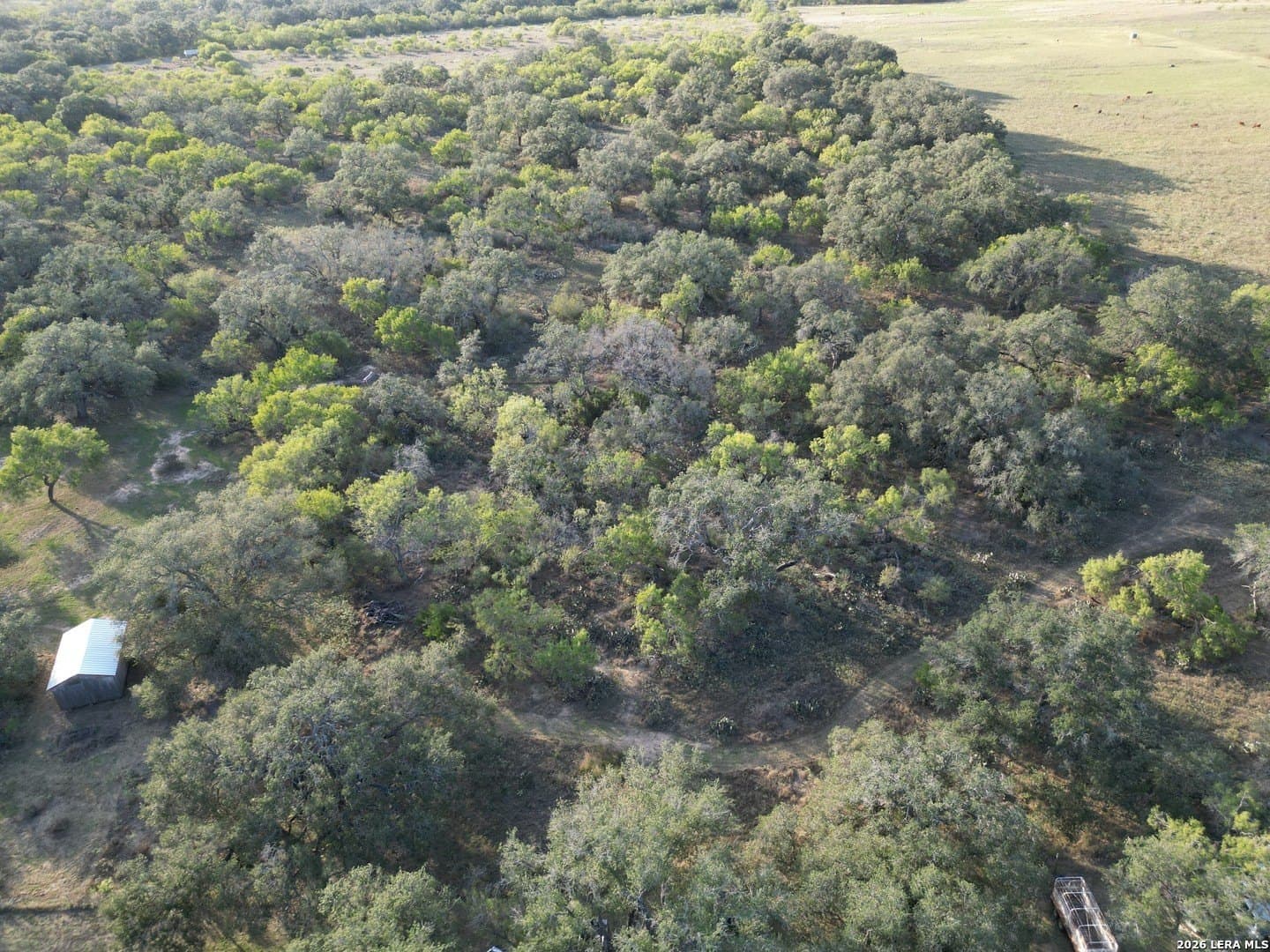 10.13 acres in Atascosa County - photo 31