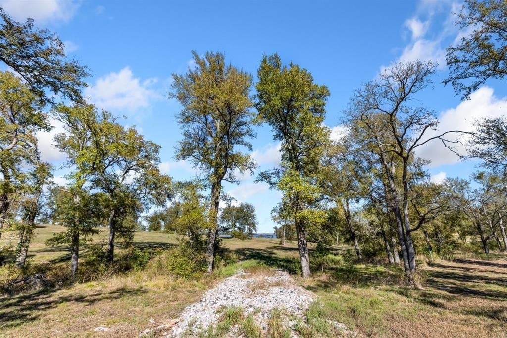 1.82 acres in Navarro County featured view